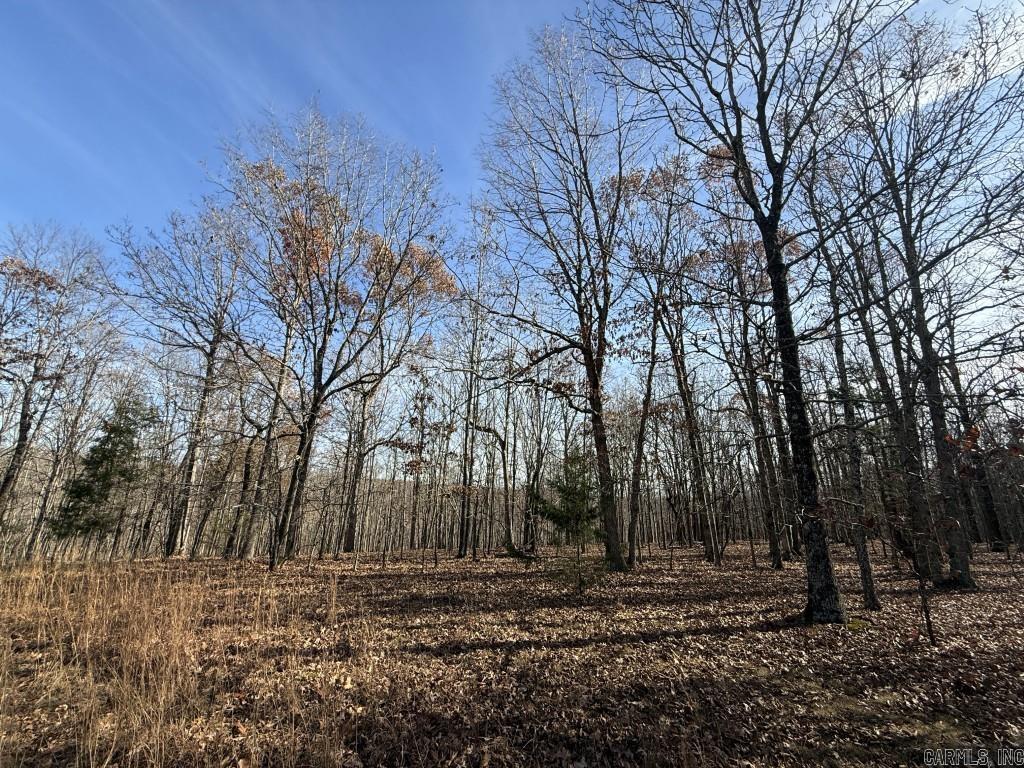 284 Stark Springs  Batesville, AR