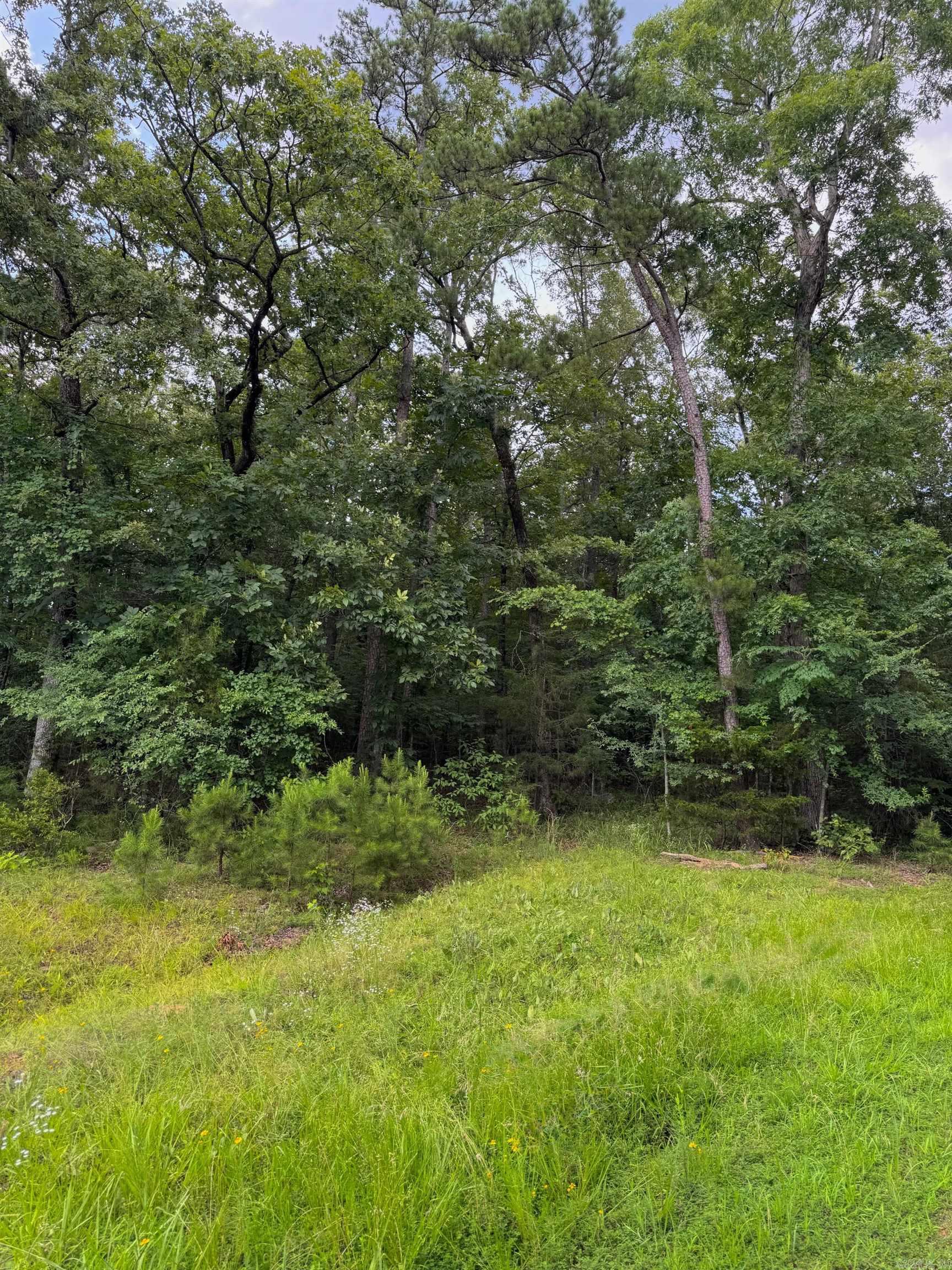 Lot 36 Primrose Creek  Heber Springs, AR