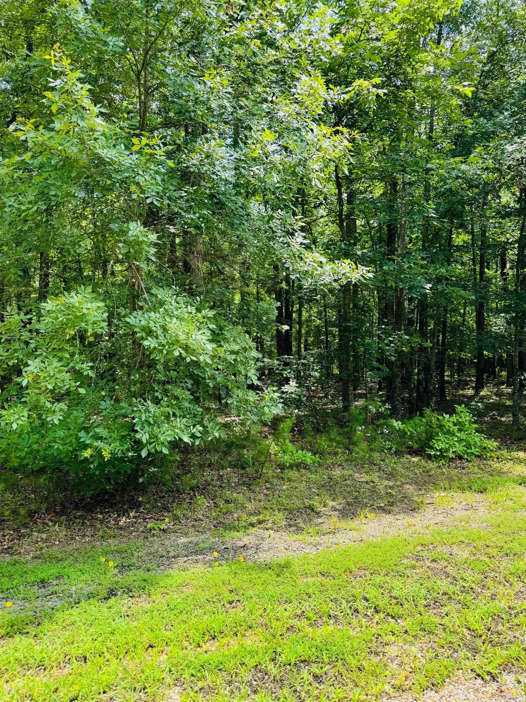 Lot 43 Primrose Creek  Heber Springs, AR