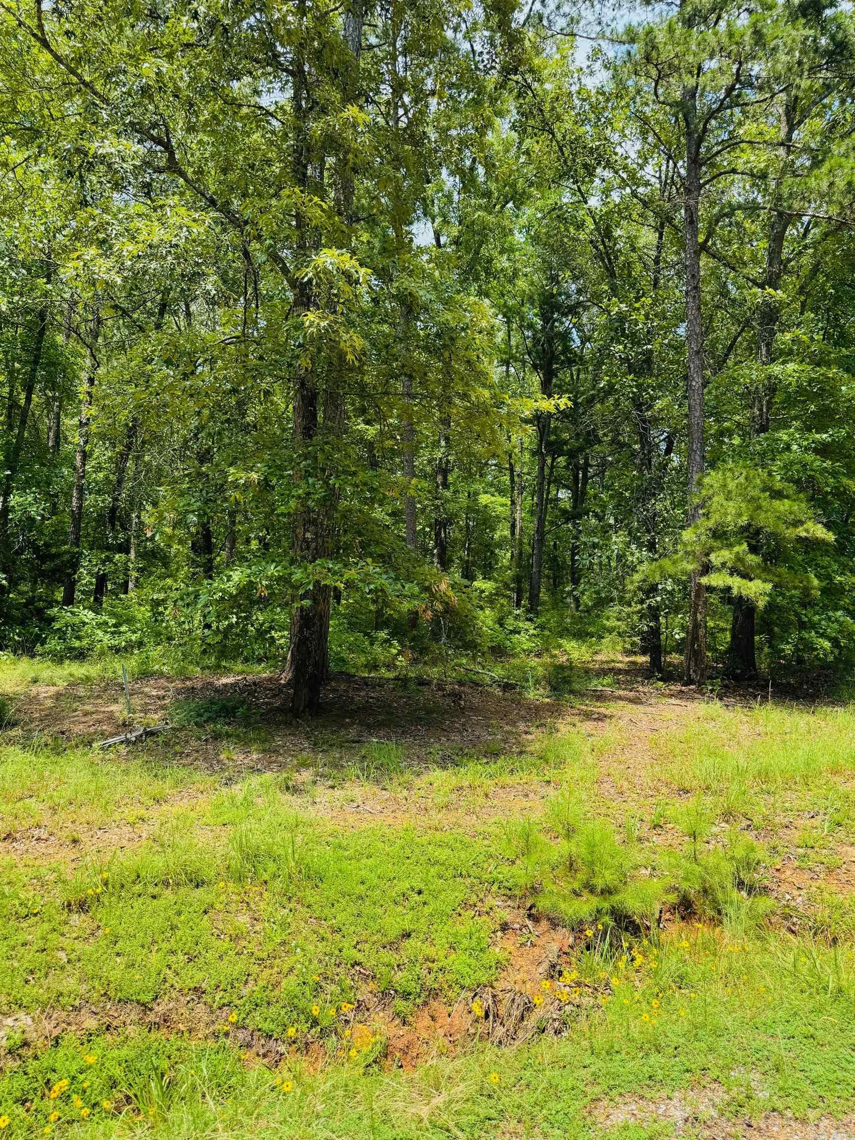 Lot 49 Primrose Creek  Heber Springs, AR