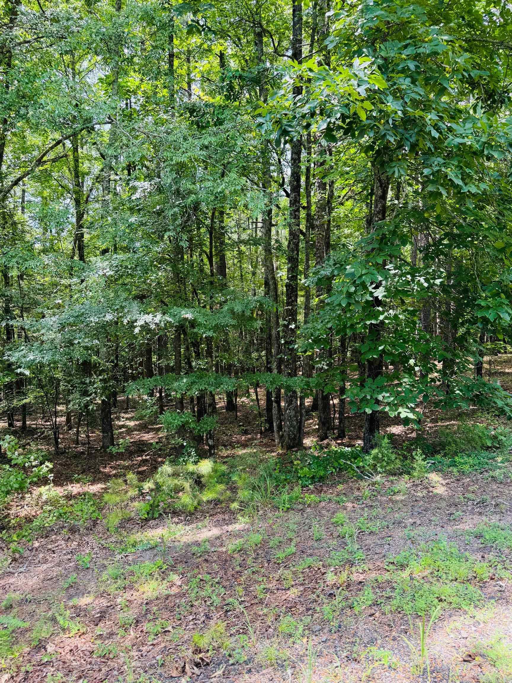 Lot 56 Primrose Creek  Heber Springs, AR