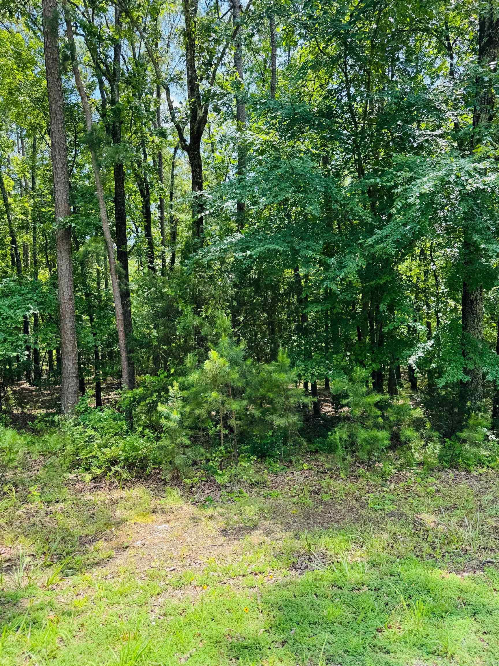 Lot 39 Primrose Creek  Heber Springs, AR