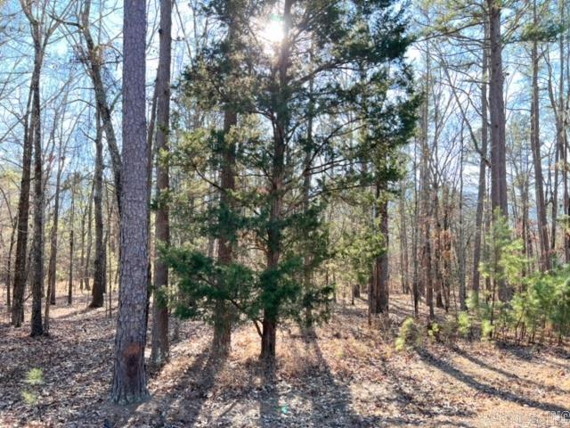 Lot 39 Primrose Creek  Heber Springs, AR