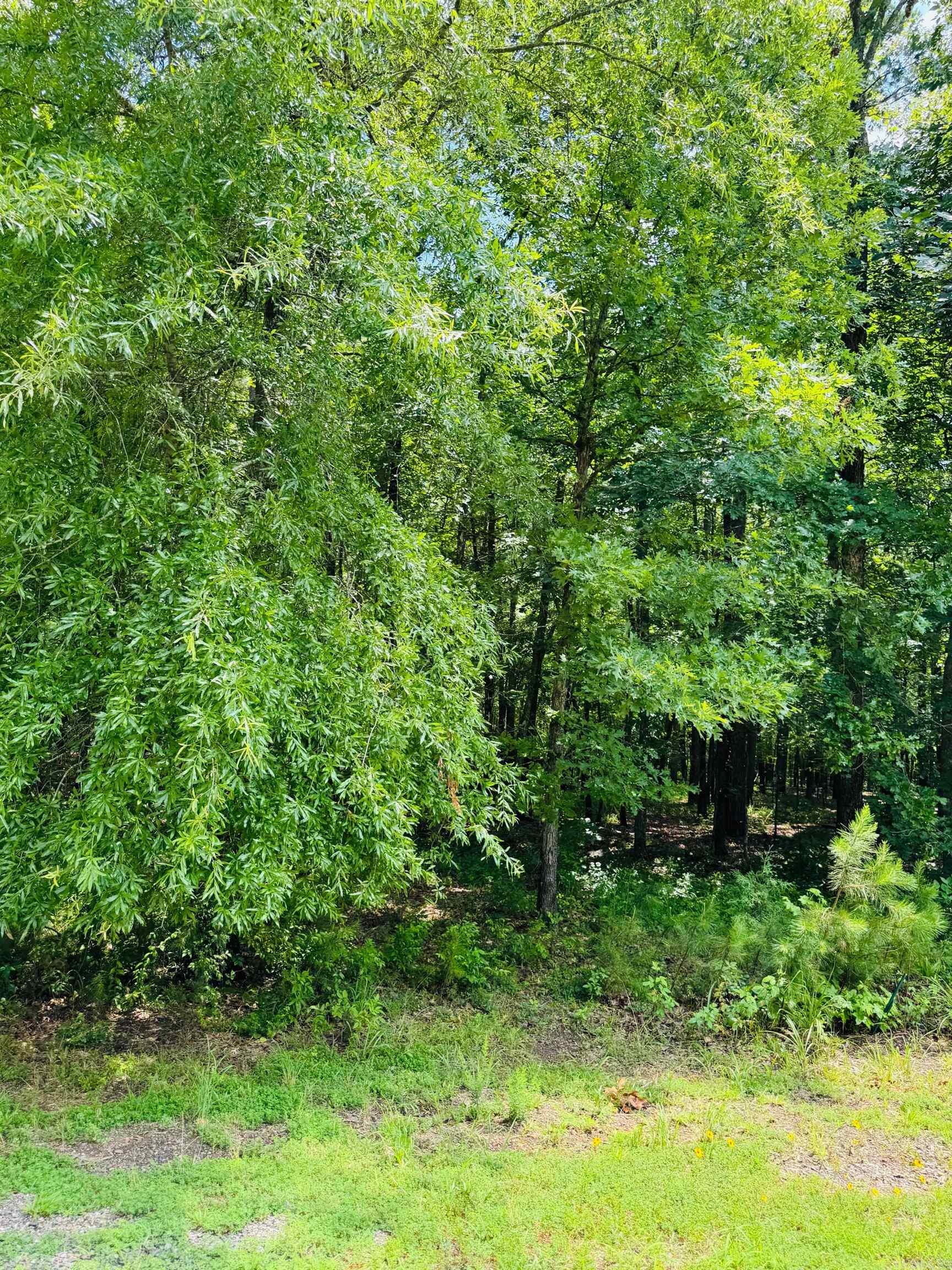 Lot 42 Primrose Creek  Heber Springs, AR