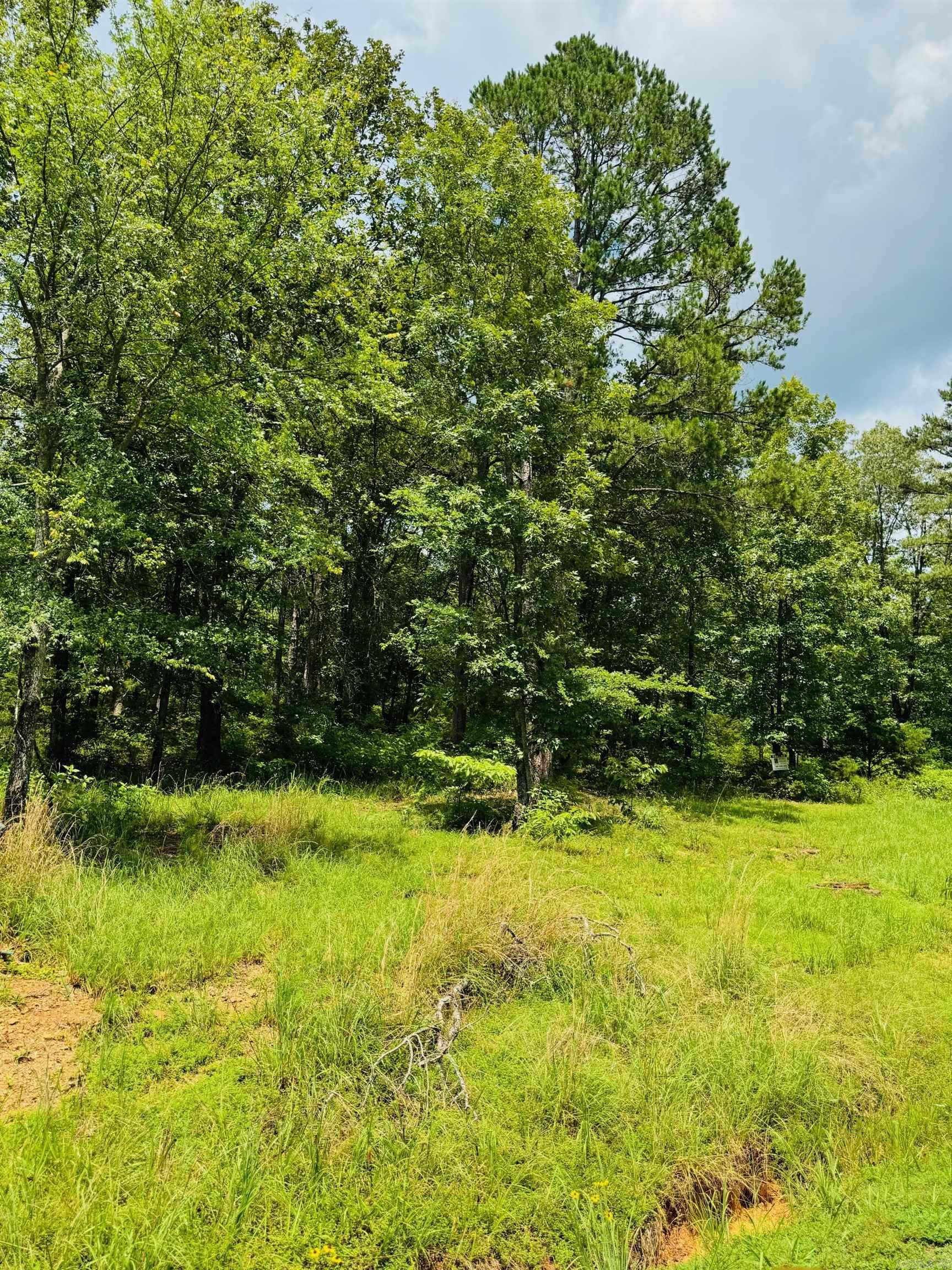 Lot 46 Primrose Creek  Heber Springs, AR