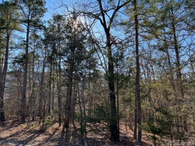Lot 52 Primrose Creek  Heber Springs, AR