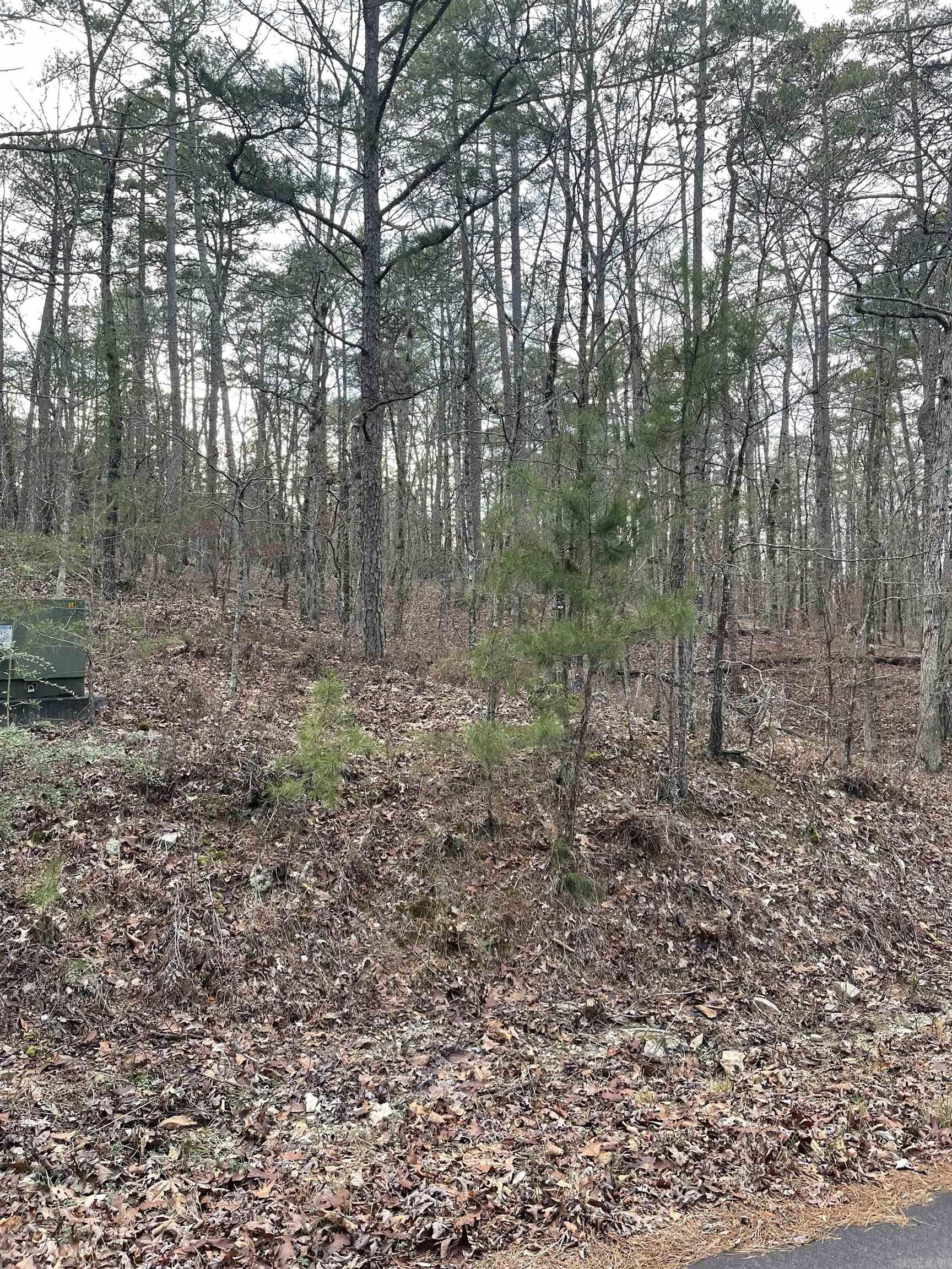 22 San Sebastian Way  Hot Springs Village, AR