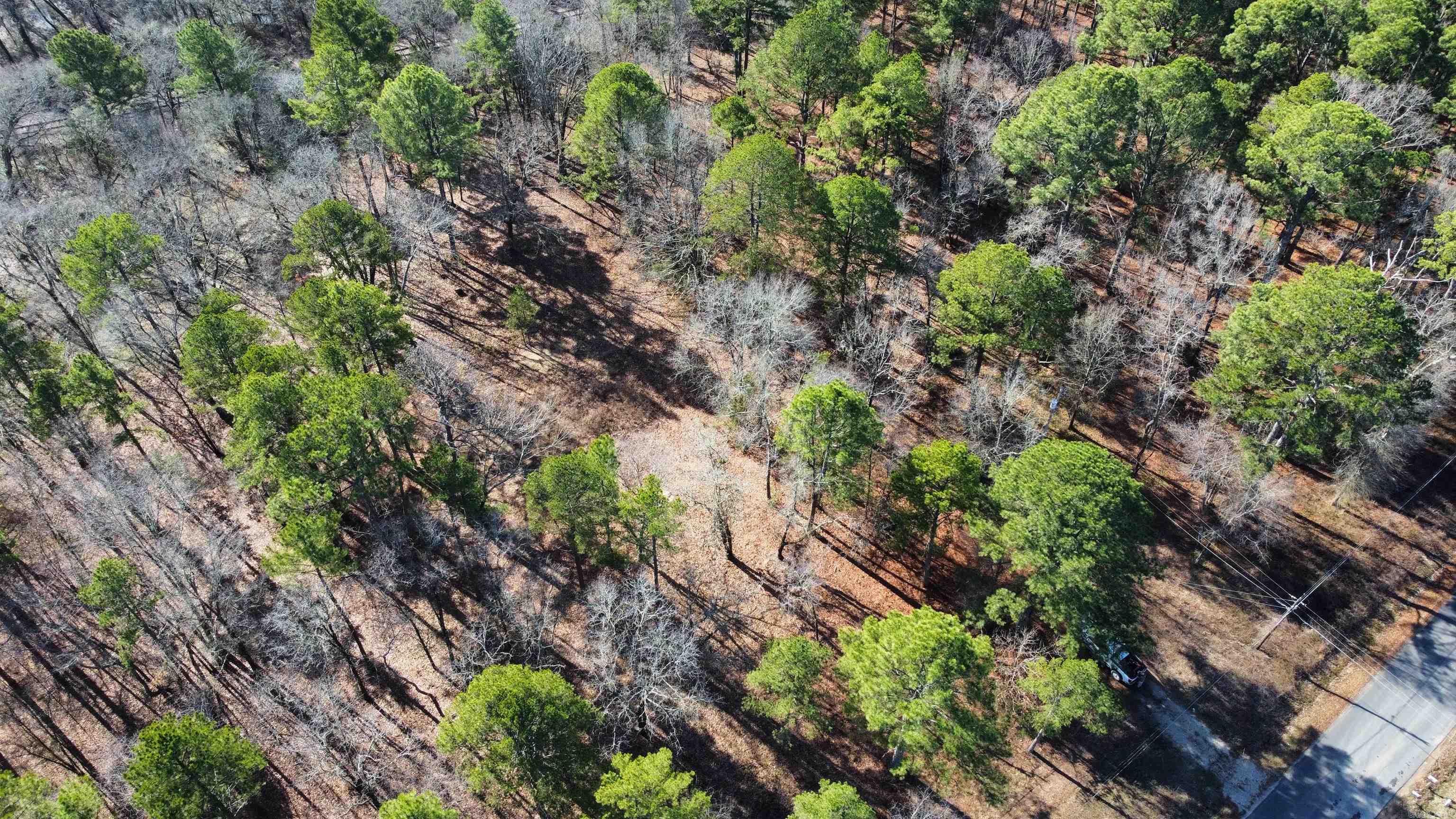 707 Blacksnake  Hot Springs, AR