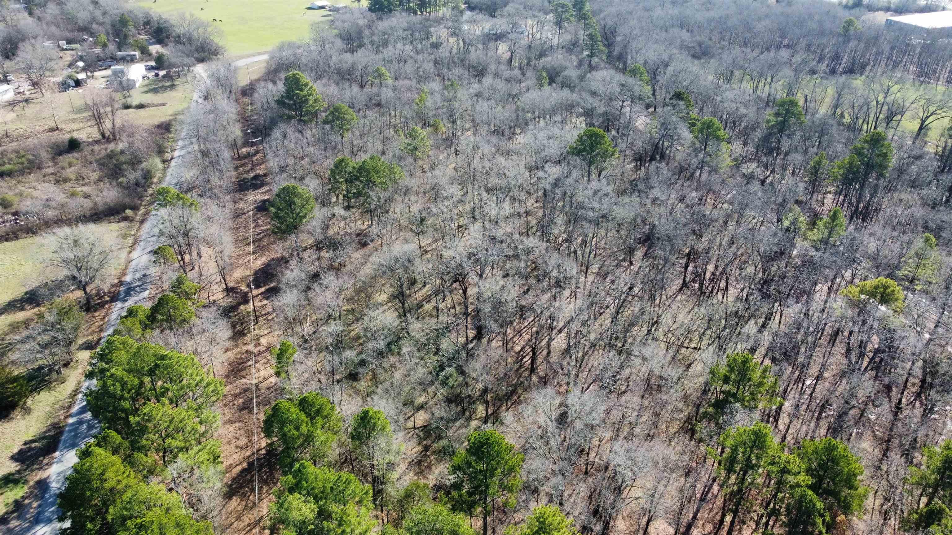 707 Blacksnake  Hot Springs, AR