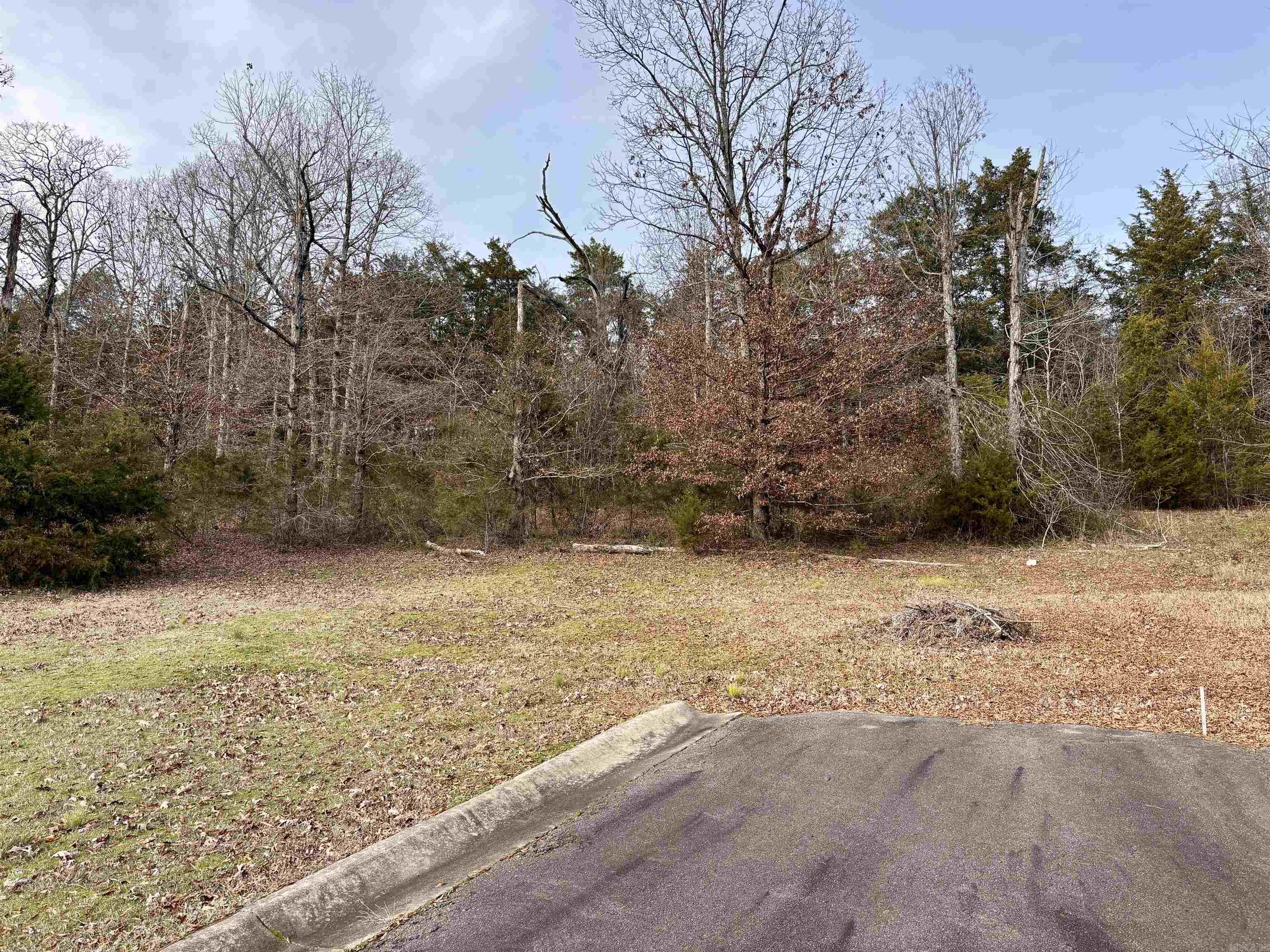 Block 1 lots 13 & 14  Morrilton, AR