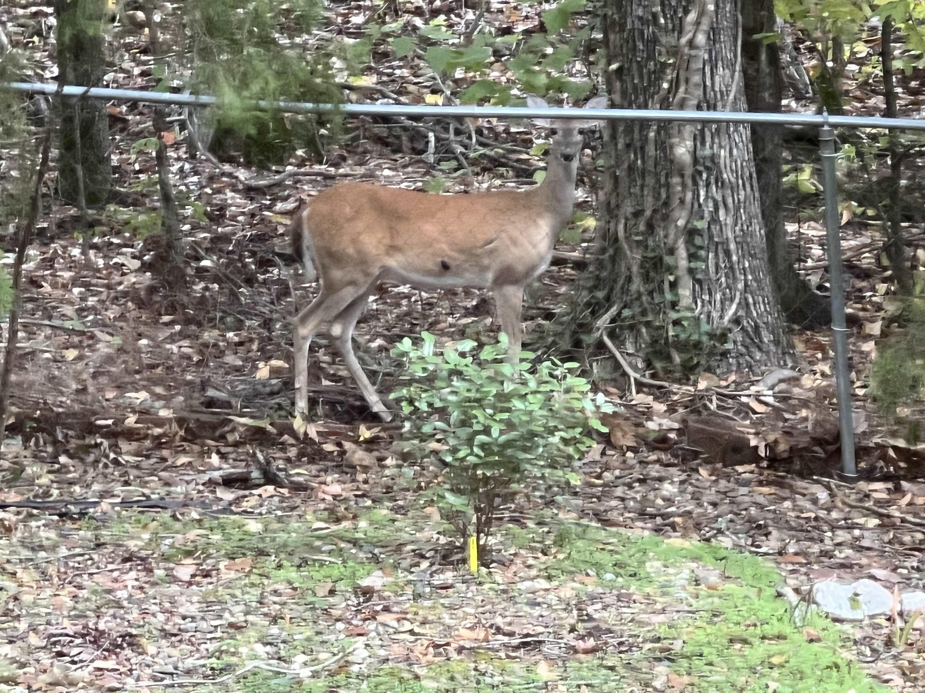 TBD La Janda  Hot Springs Village, AR