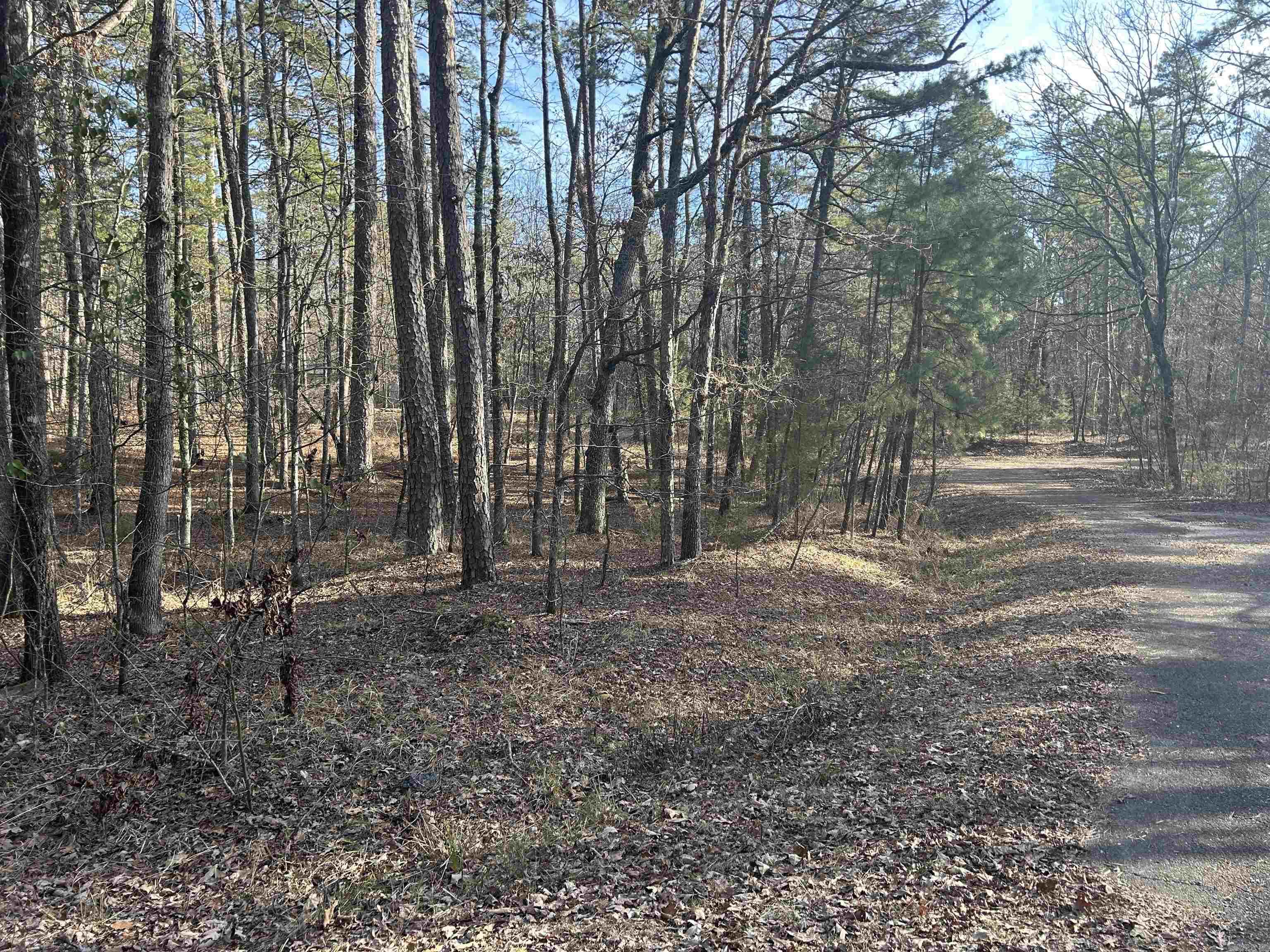 TBD La Janda  Hot Springs Village, AR