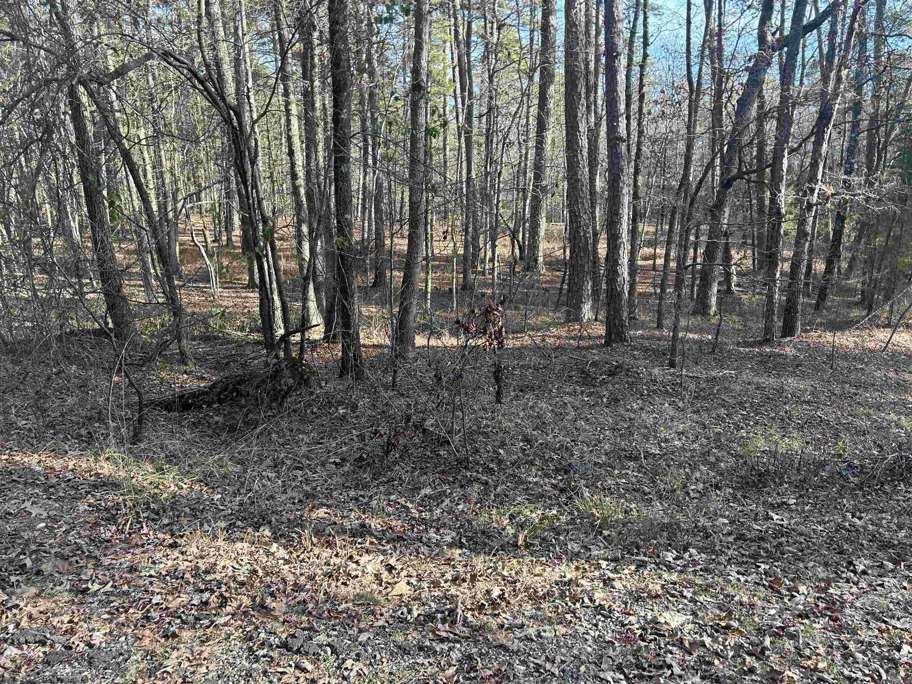 TBD La Janda  Hot Springs Village, AR