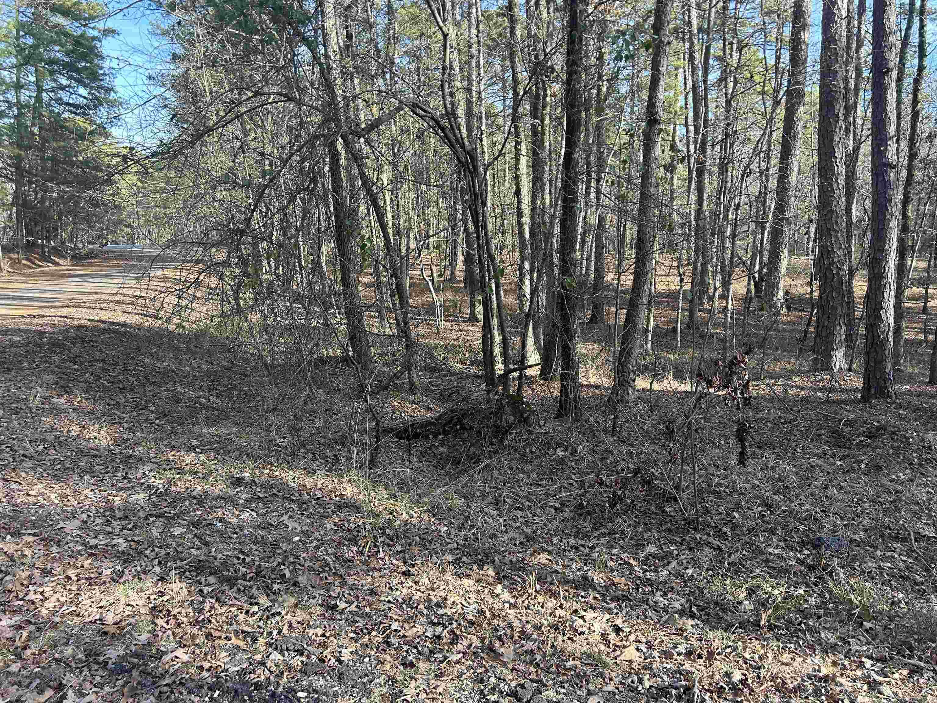 TBD La Janda  Hot Springs Village, AR