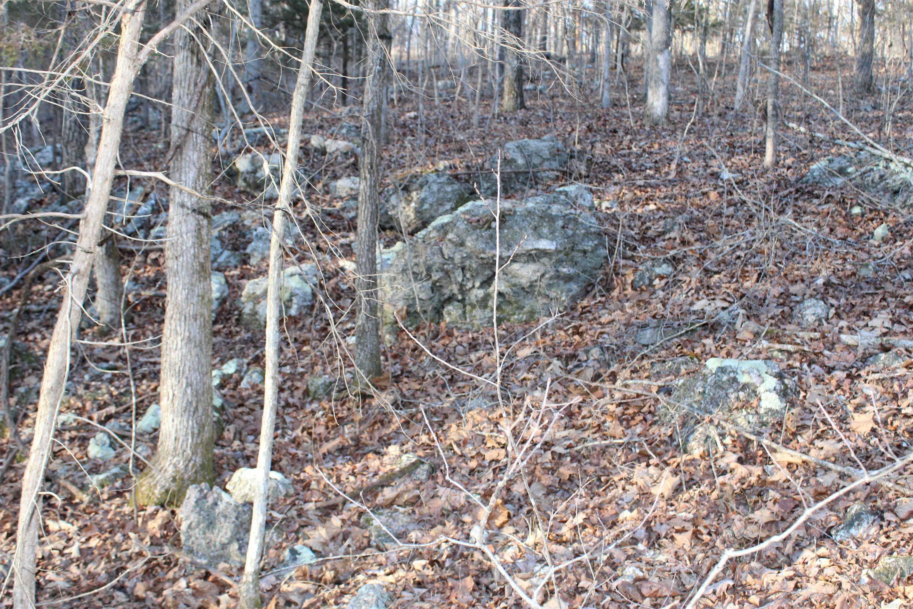  Hwy 289 South  Horseshoe Bend, AR