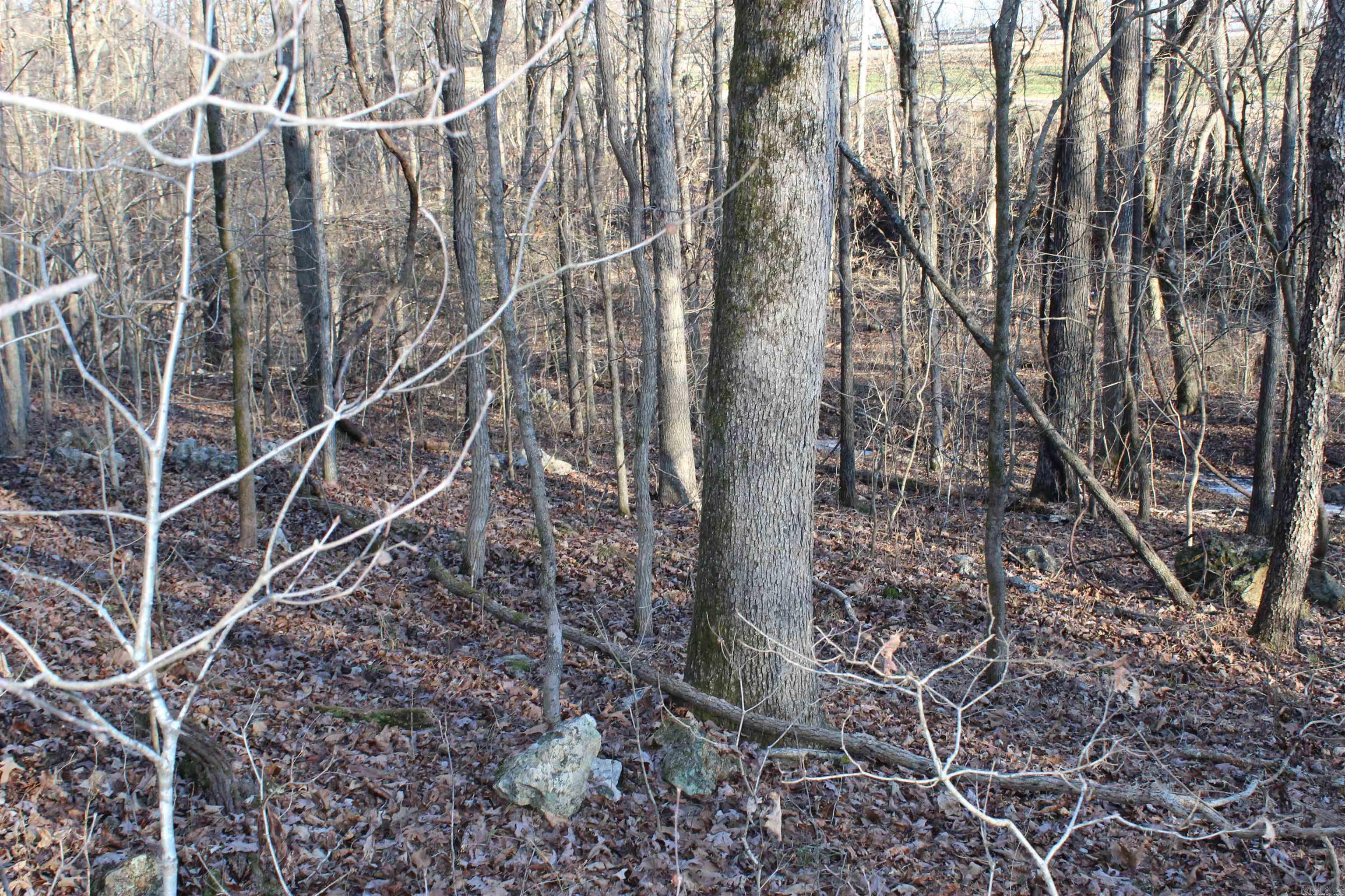  Hwy 289 South  Horseshoe Bend, AR