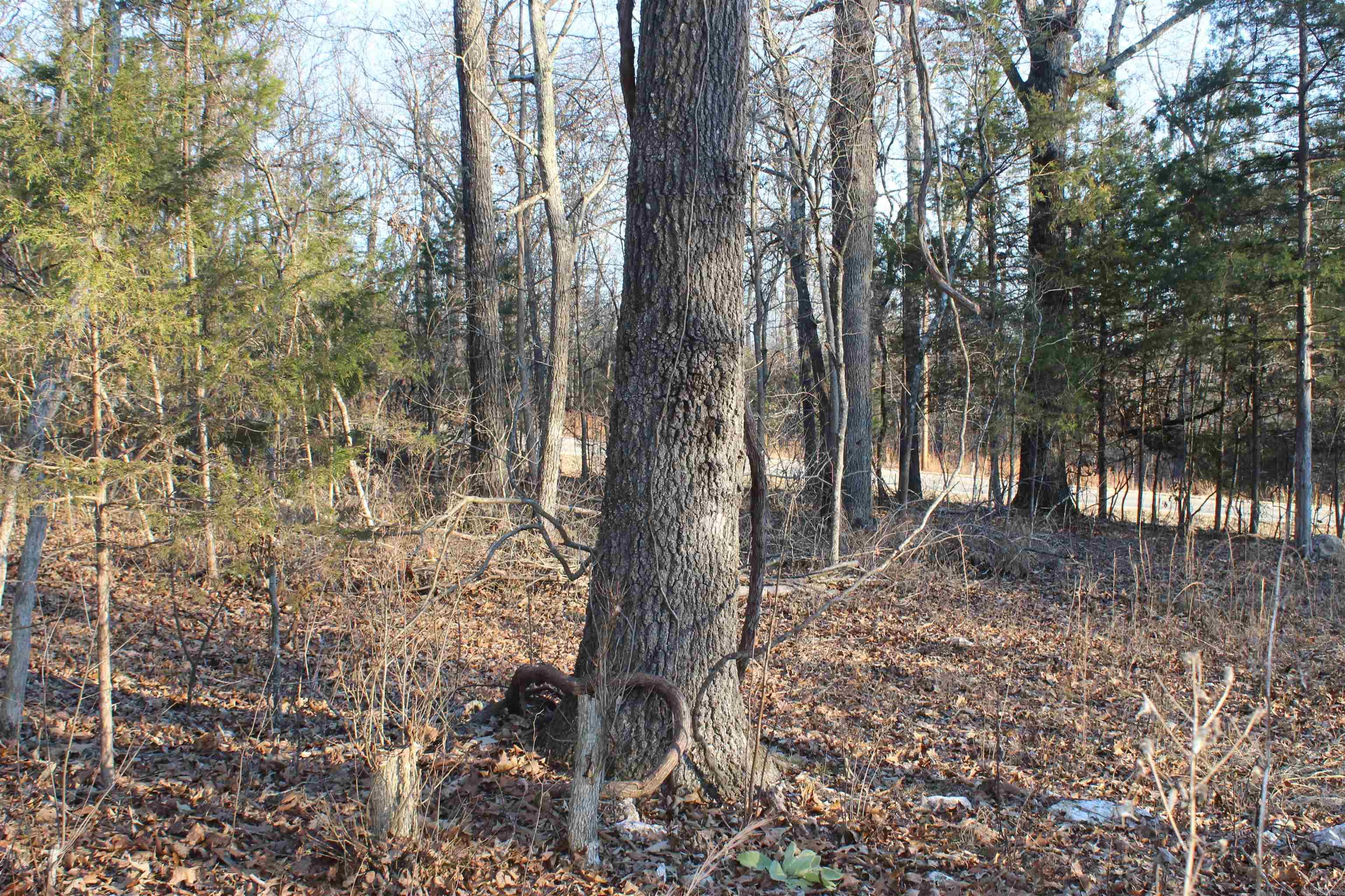  Hwy 289 South  Horseshoe Bend, AR