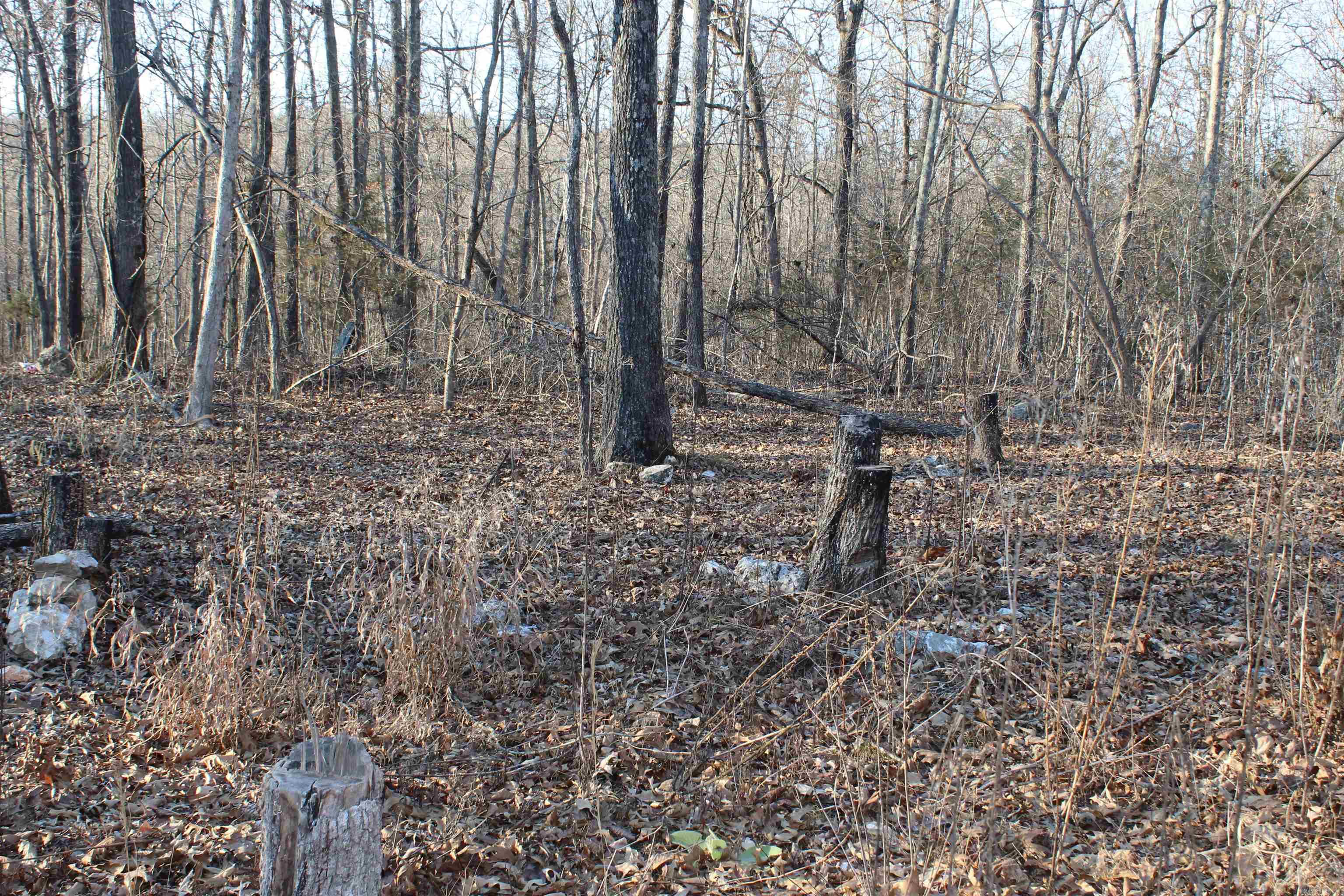  Hwy 289 South  Horseshoe Bend, AR