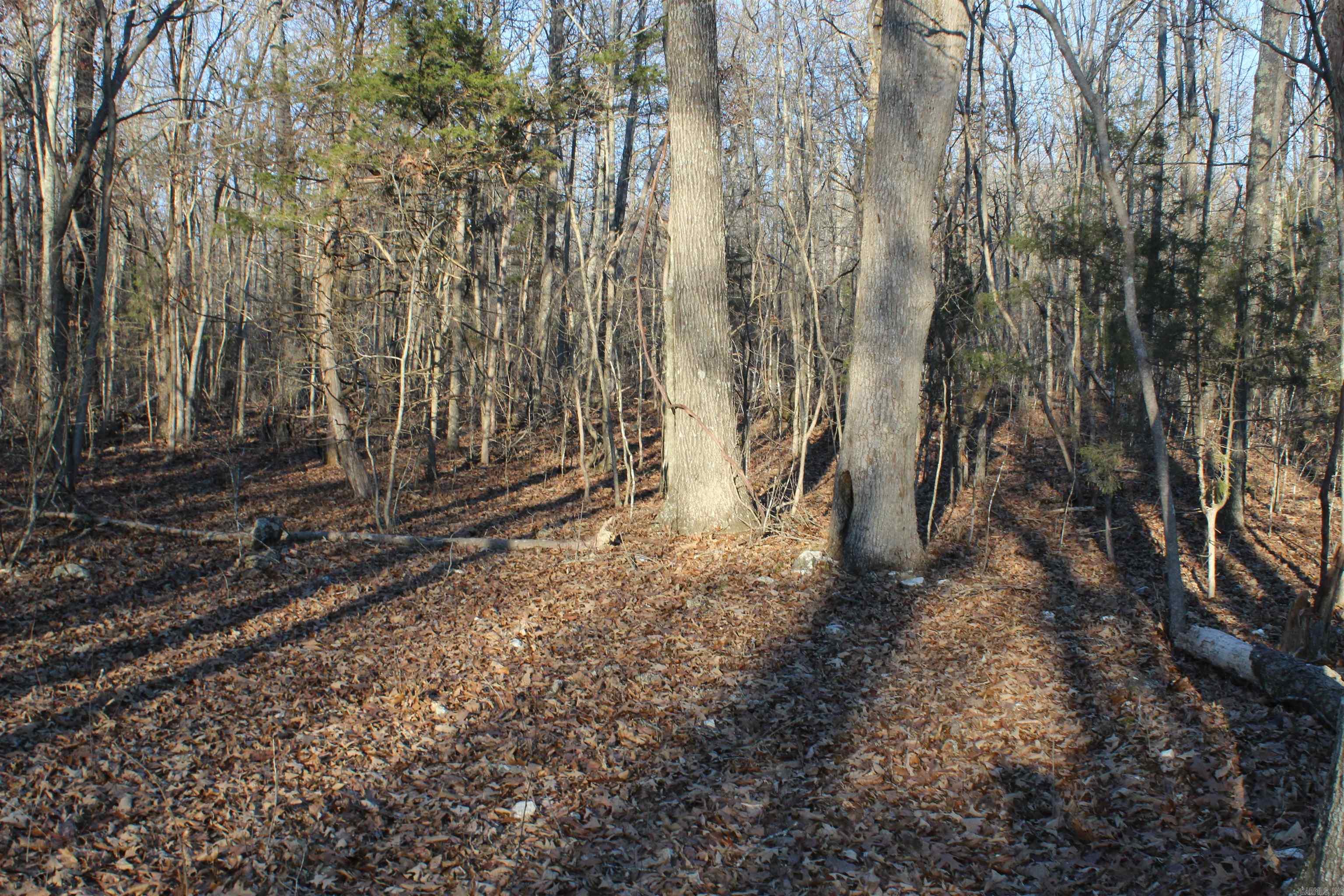  Hwy 289 South  Horseshoe Bend, AR