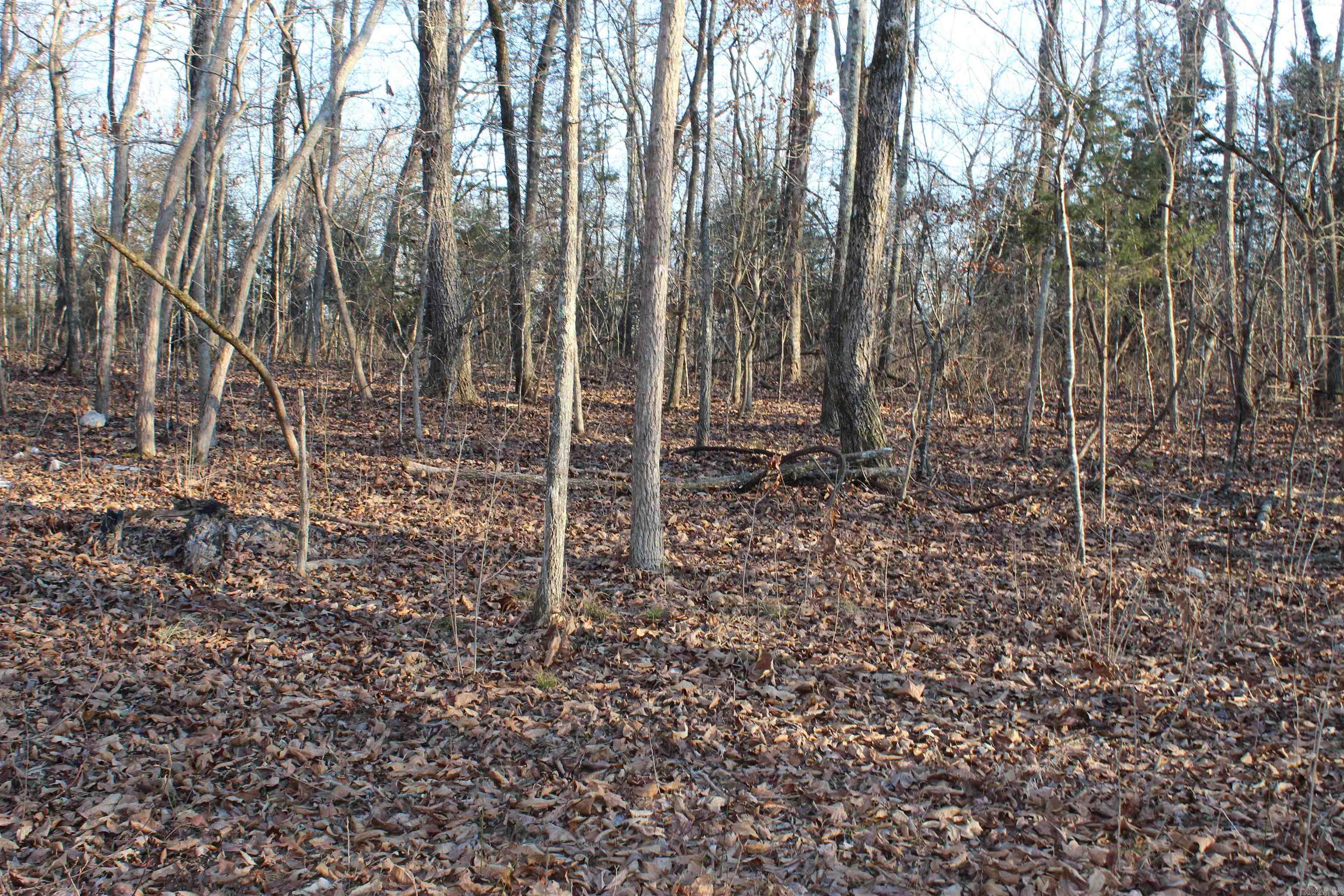  Hwy 289 South  Horseshoe Bend, AR