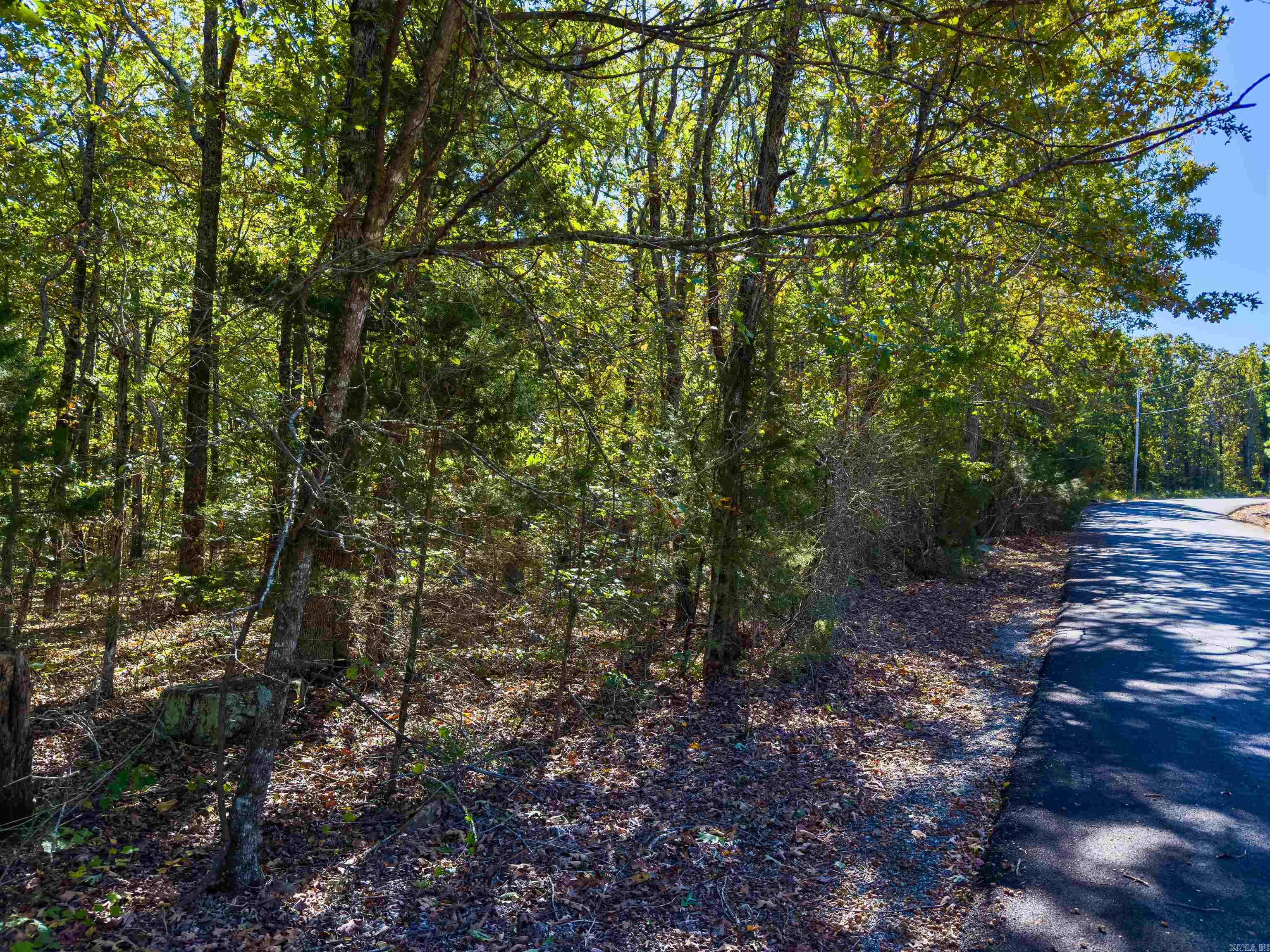 TBD Castle  Batesville, AR