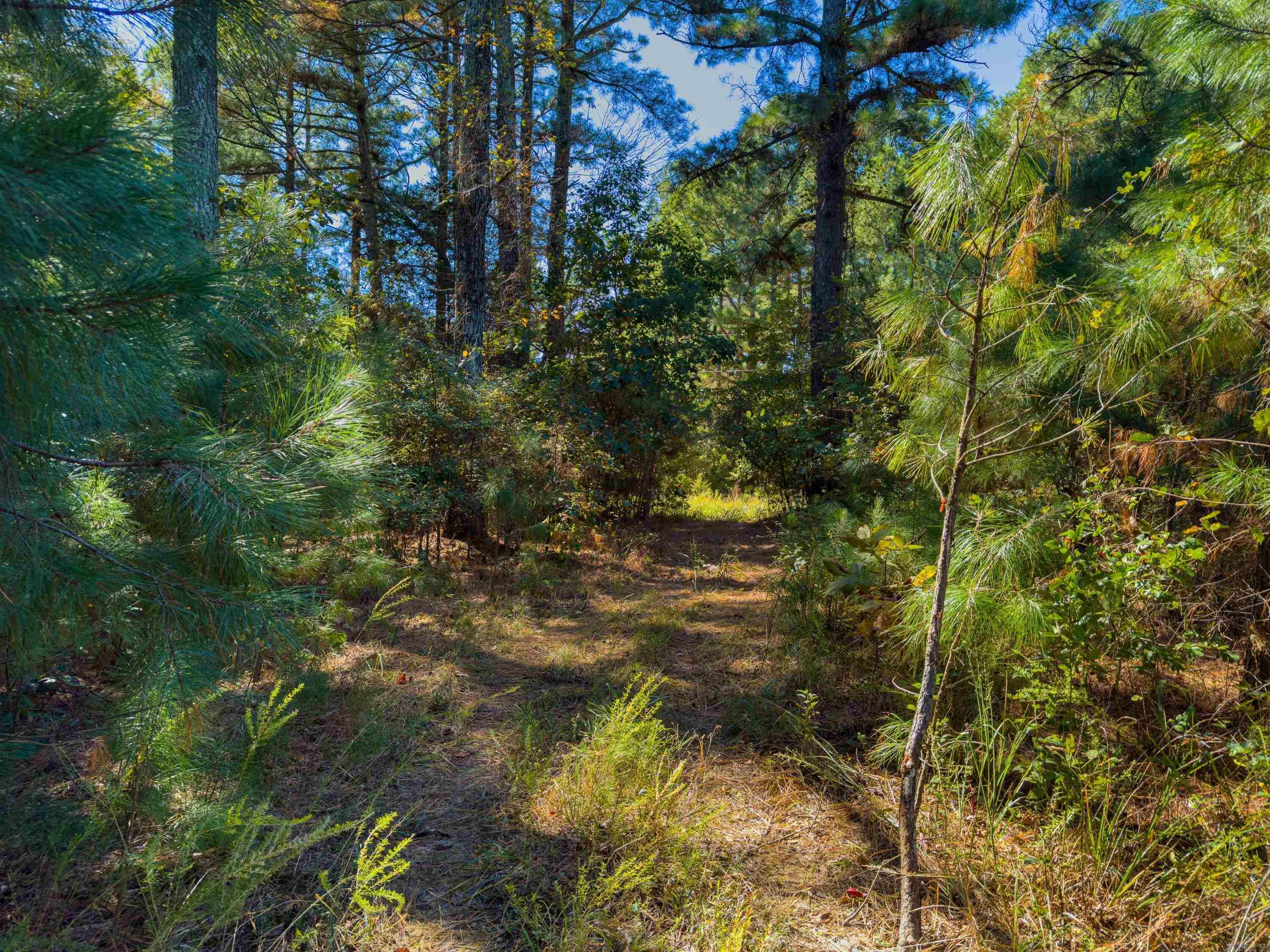 TBD Castle  Batesville, AR