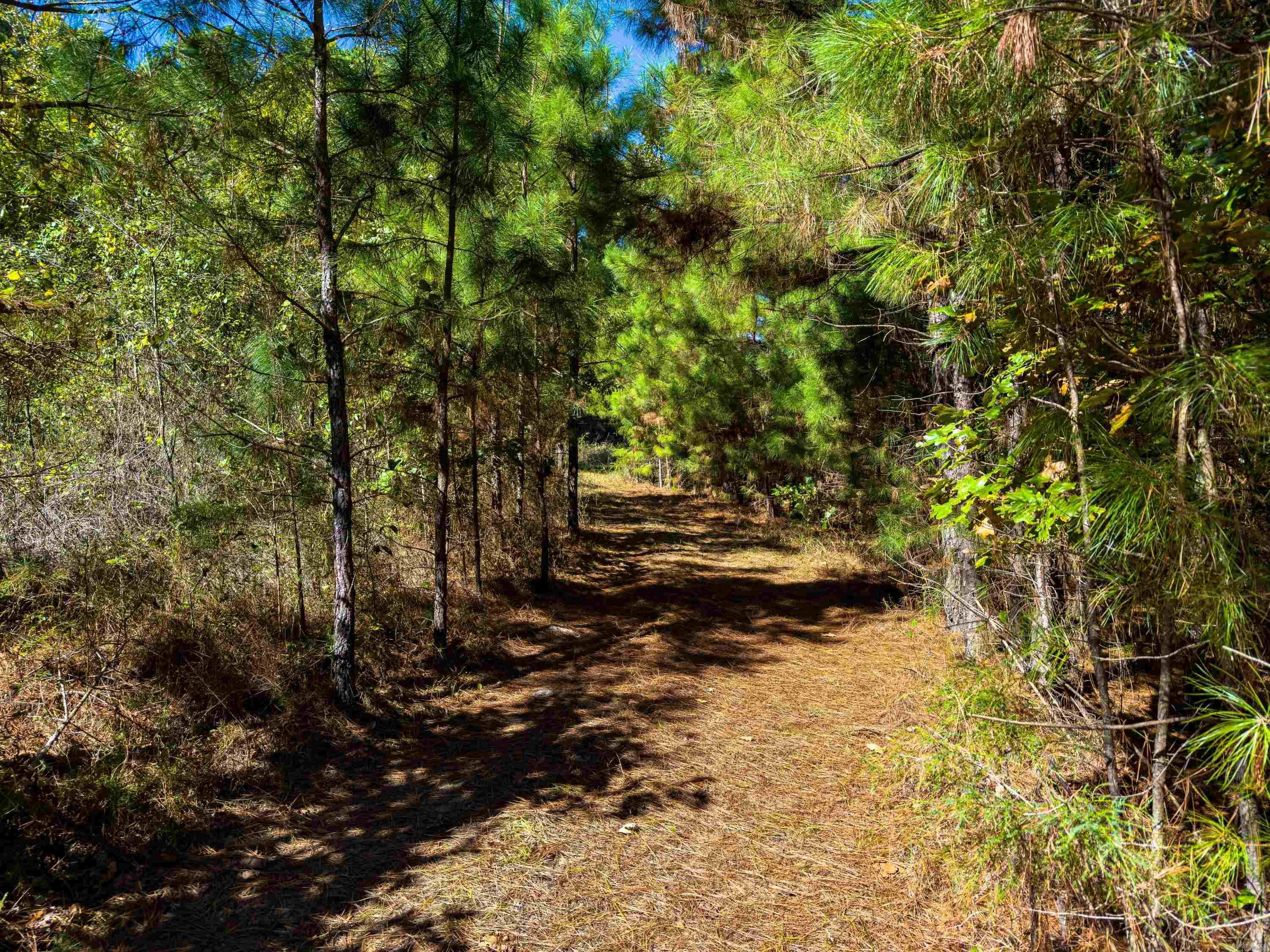 TBD Castle  Batesville, AR