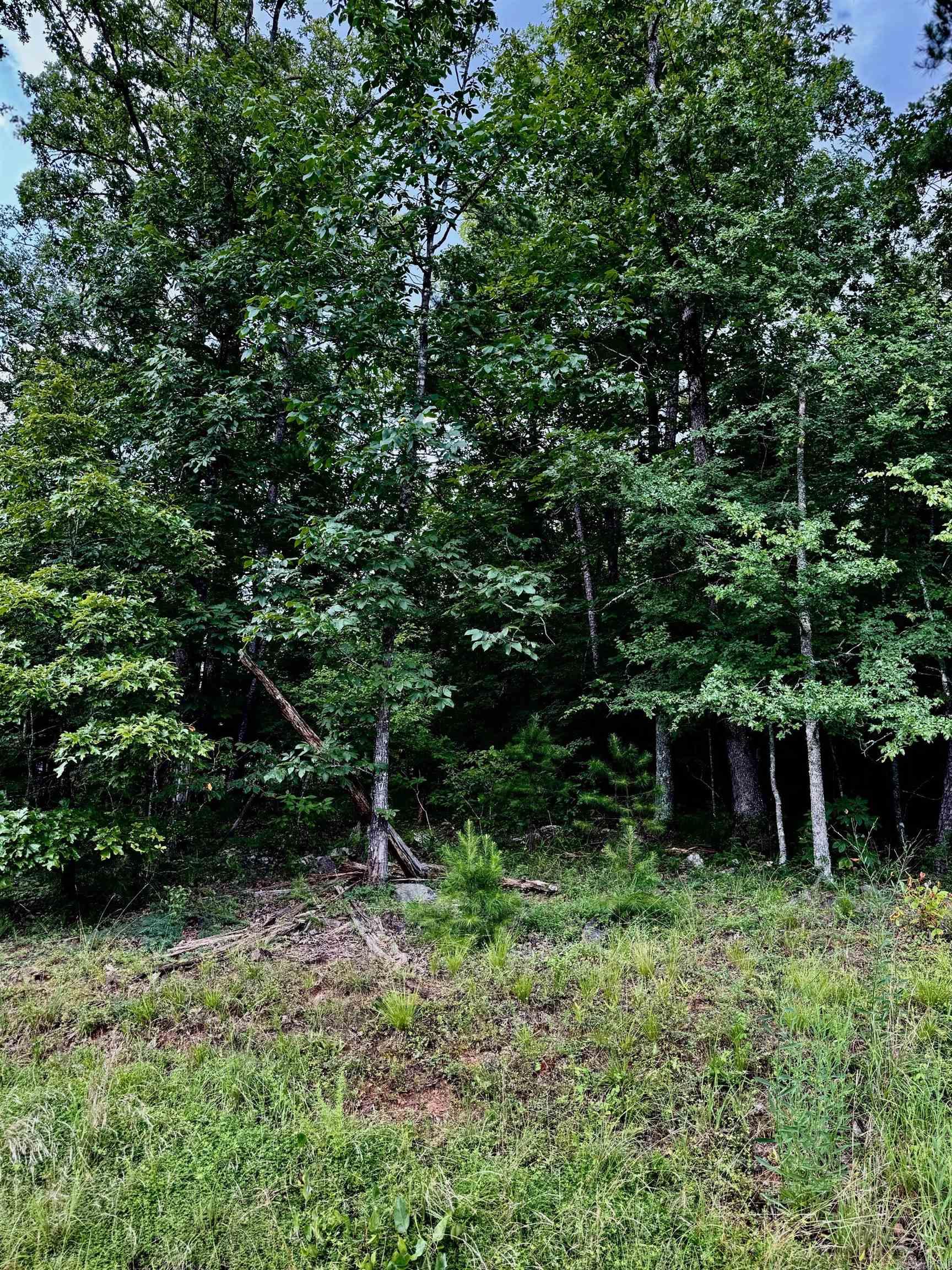 Lot 34 Primrose Creek  Heber Springs, AR