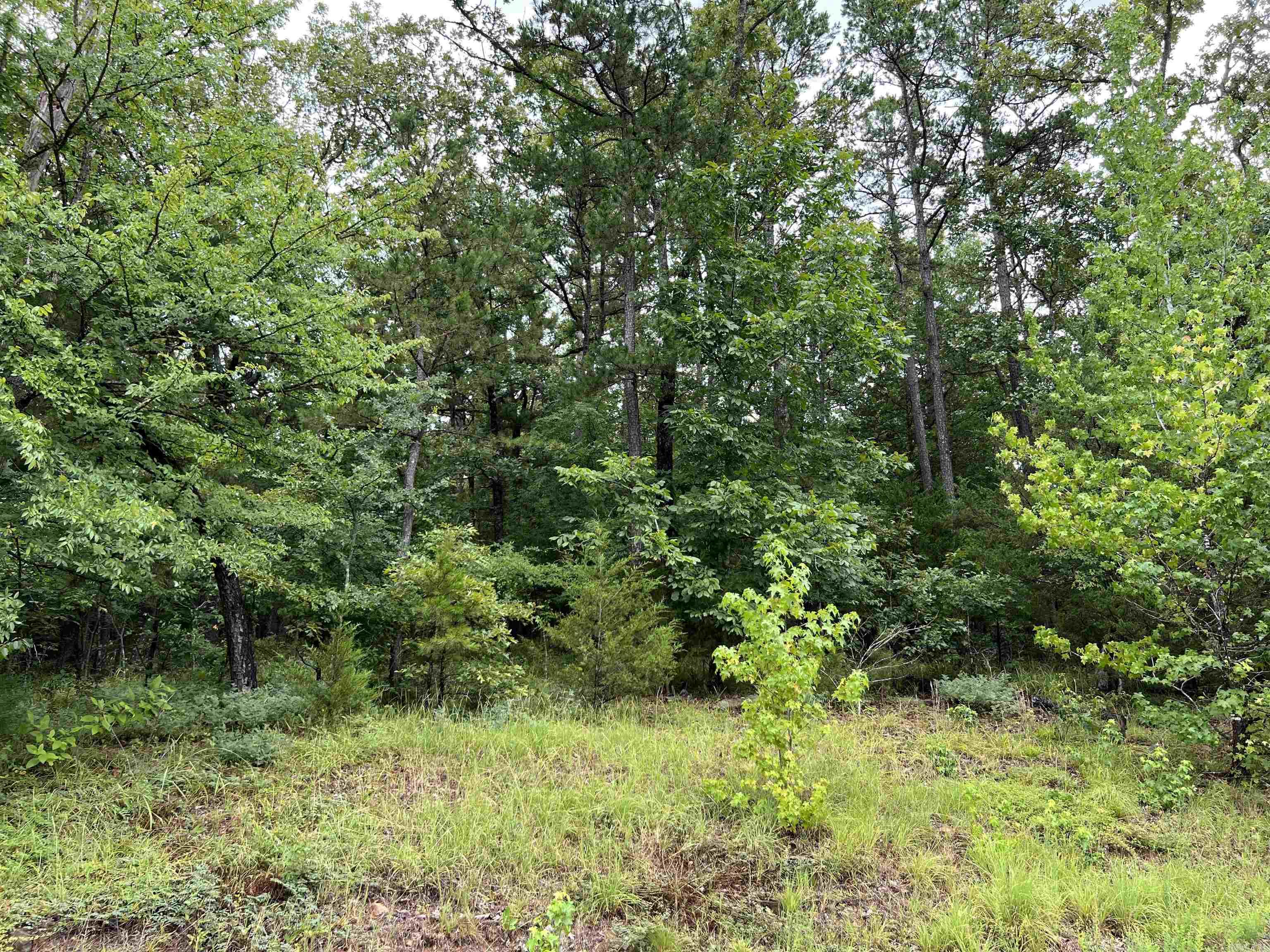 Lot 34 Primrose Creek  Heber Springs, AR