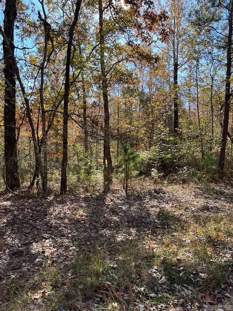 17 Fachado  Hot Springs Village, AR