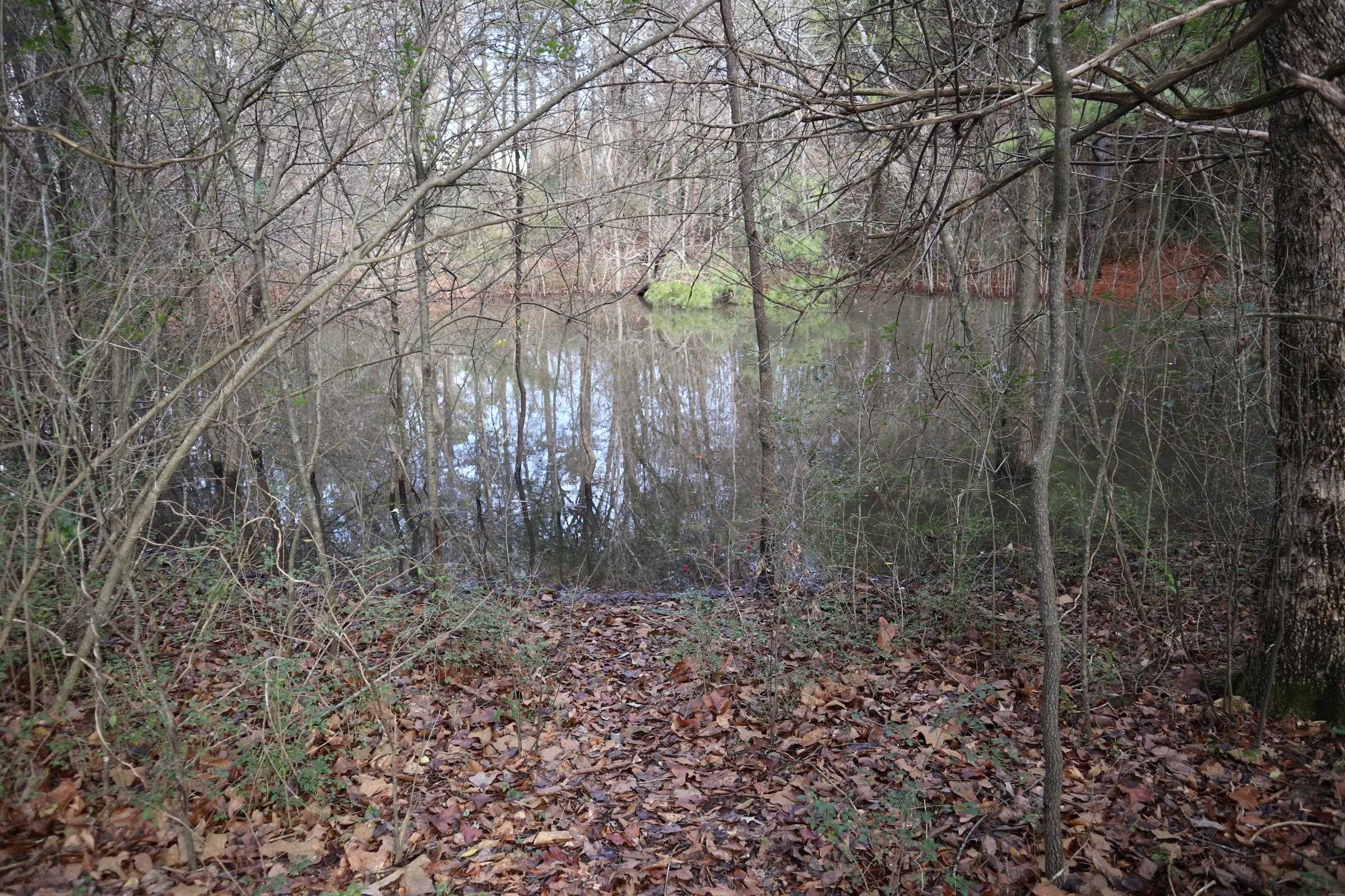 533 North St Salem, AR 72576