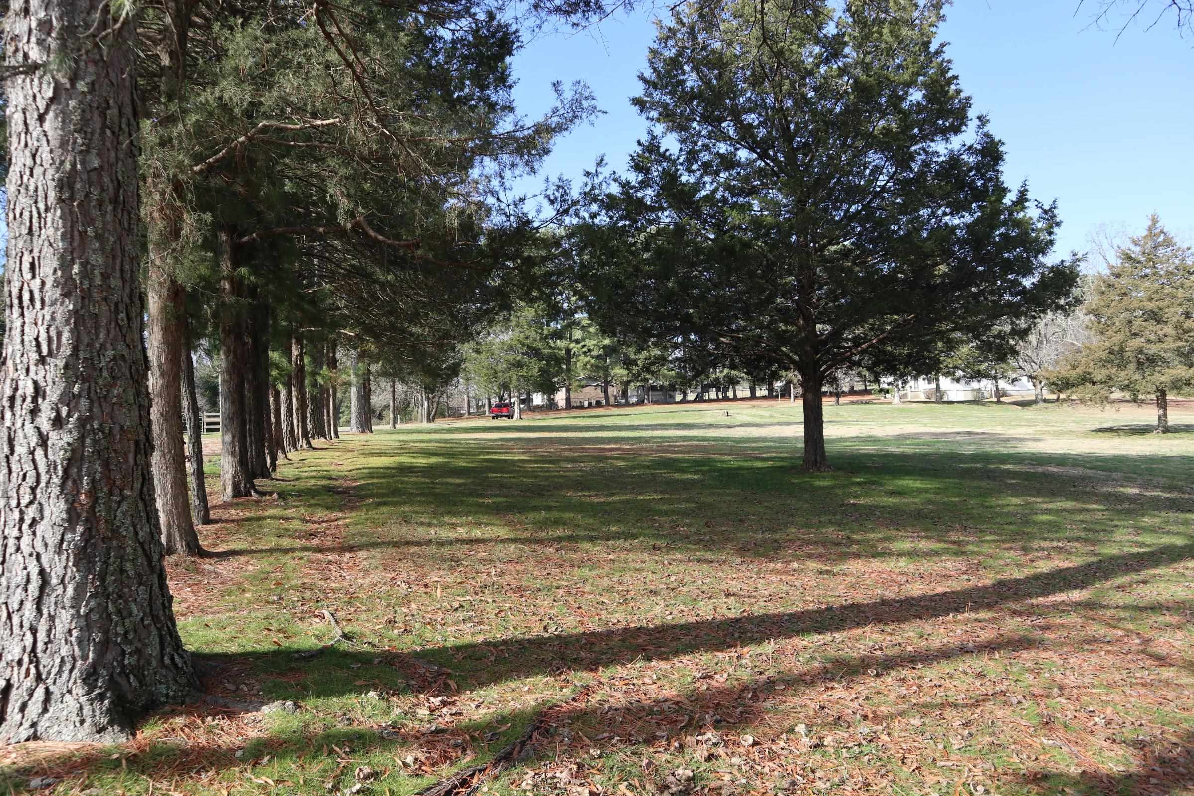 533 North St Salem, AR 72576