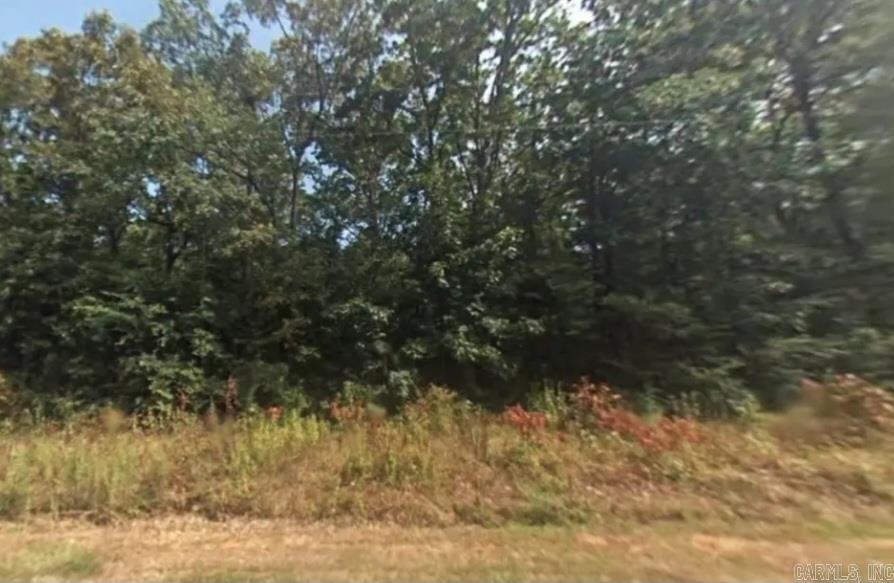 Lot 013 Irene  Pine Bluff, AR