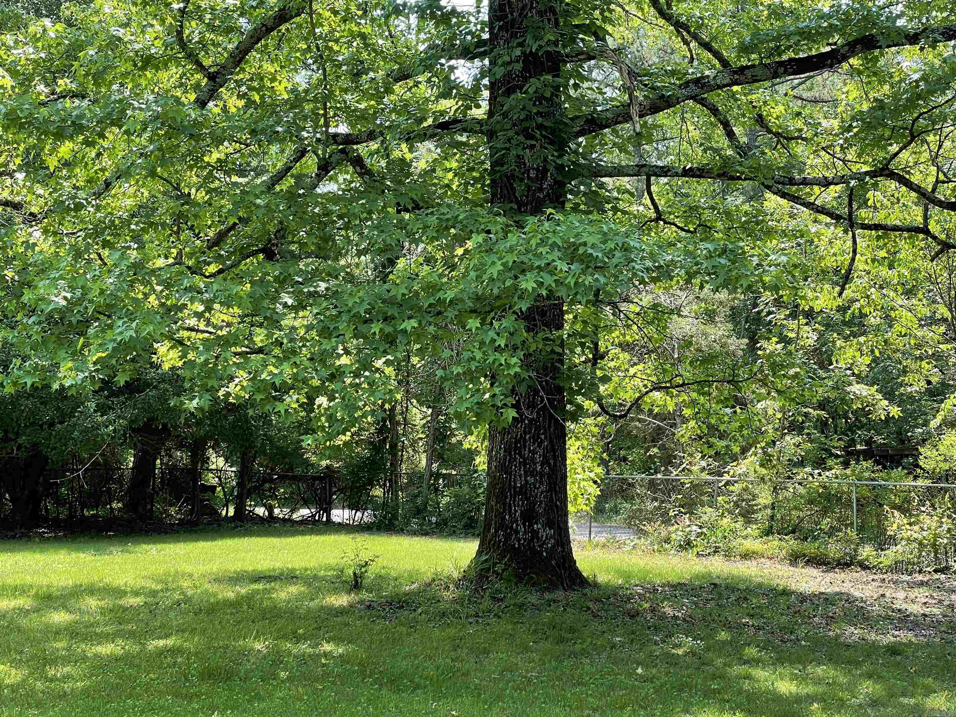 395 Wood Grove Lane Higden, AR 72067