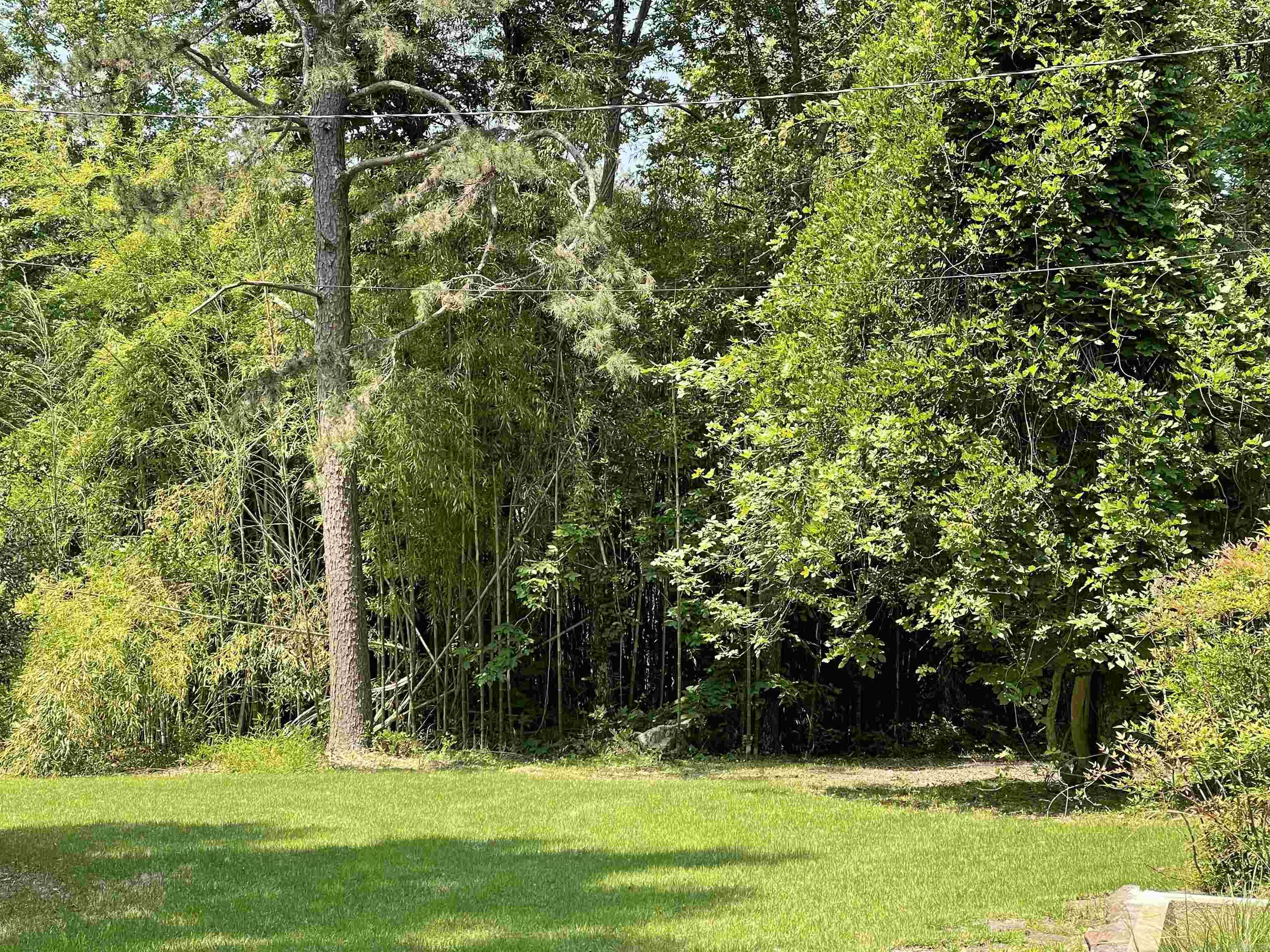 395 Wood Grove Lane Higden, AR 72067