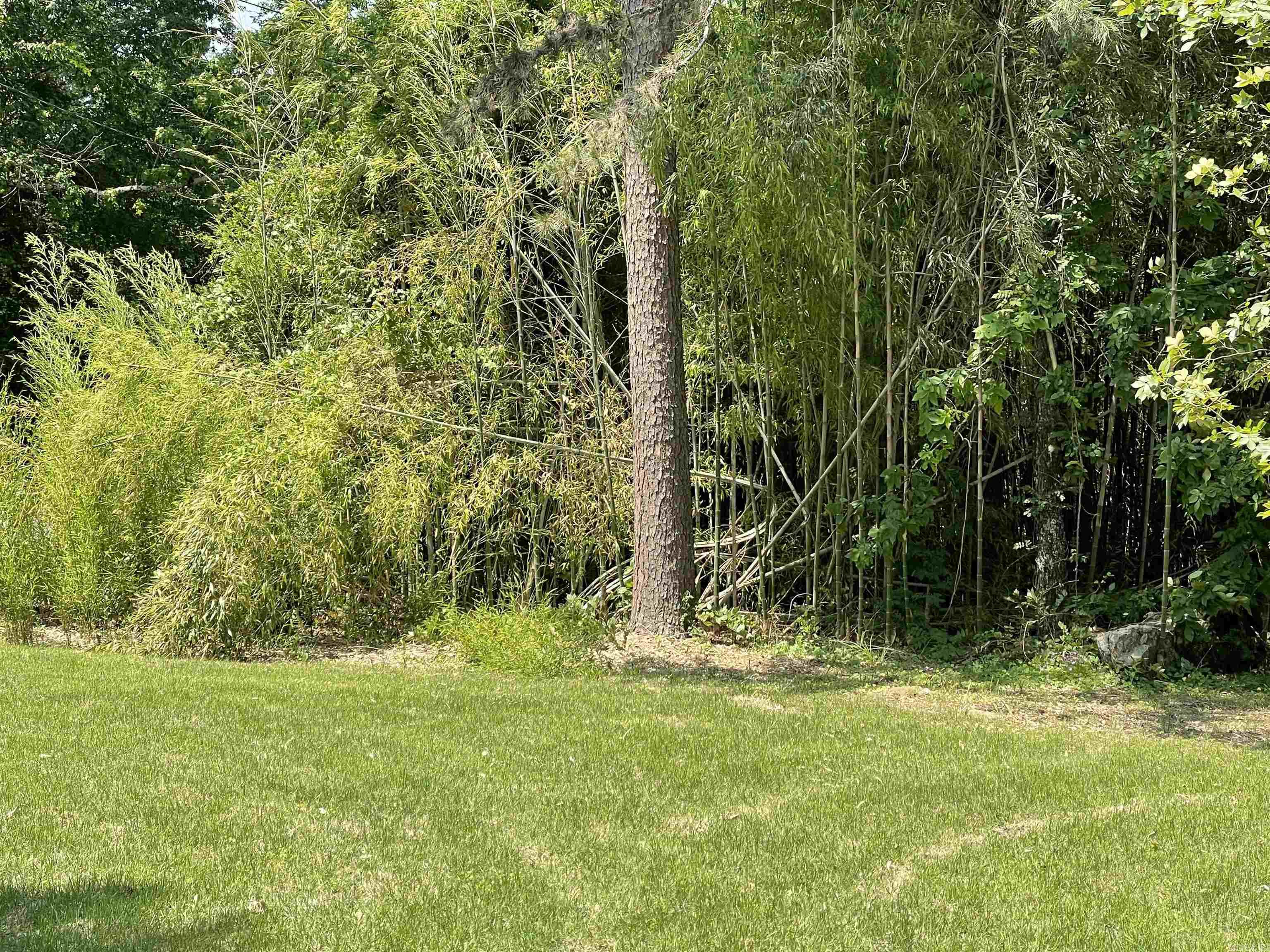 395 Wood Grove Lane Higden, AR 72067