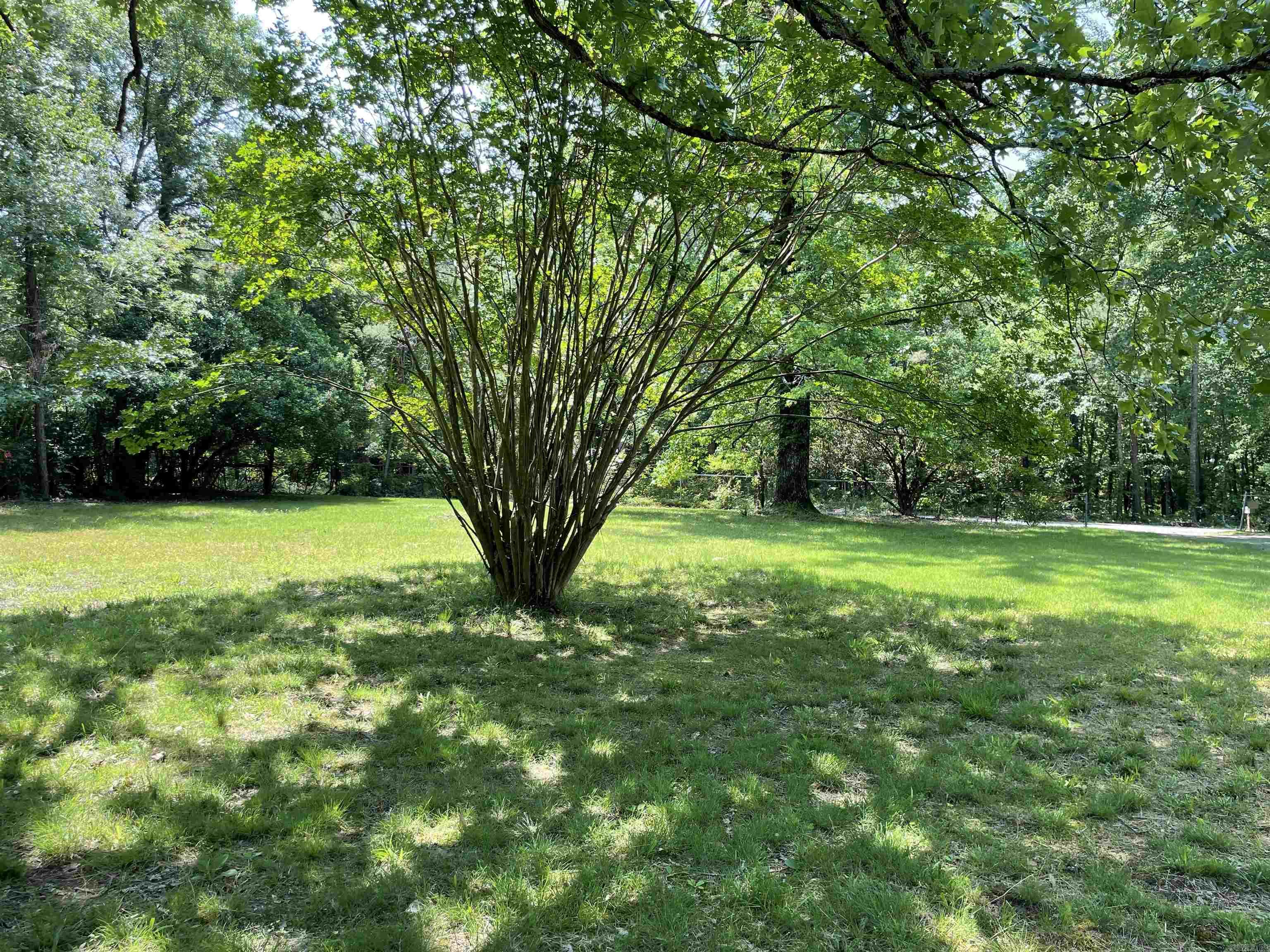 395 Wood Grove Lane Higden, AR 72067