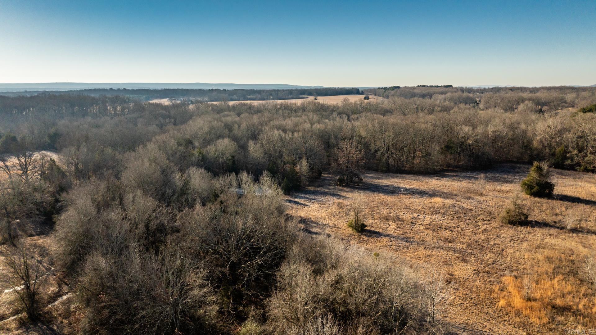 Tract 8 Rooster  Conway, AR