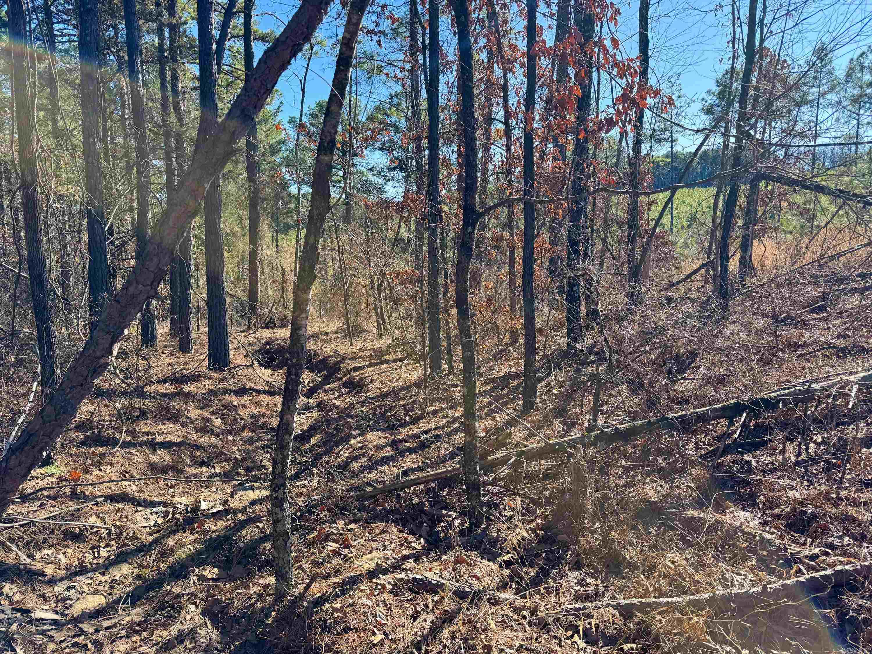 950 Tarter Hill  Quitman, AR