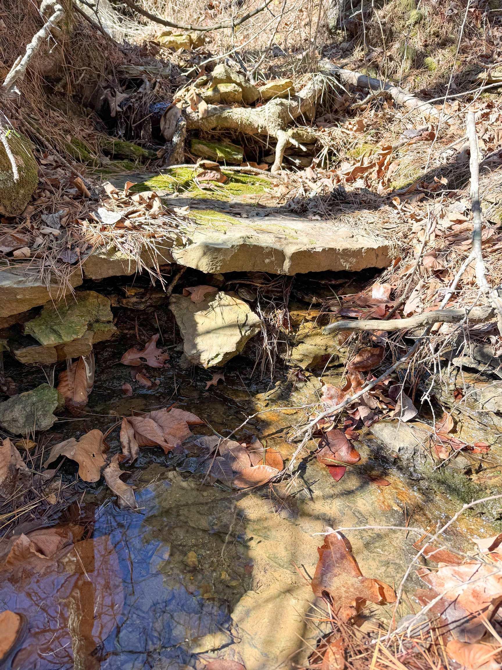 950 Tarter Hill  Quitman, AR