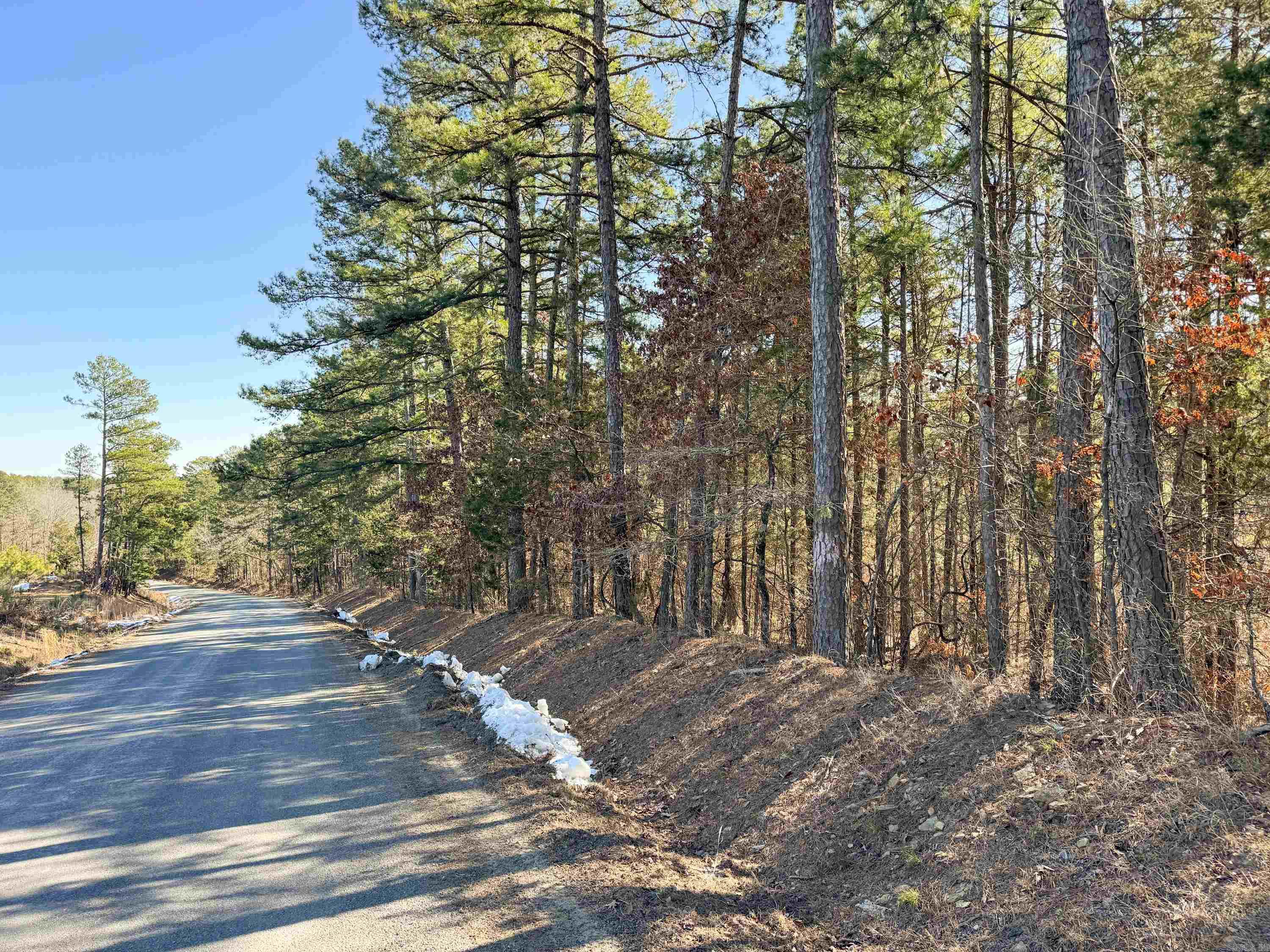 950 Tarter Hill  Quitman, AR