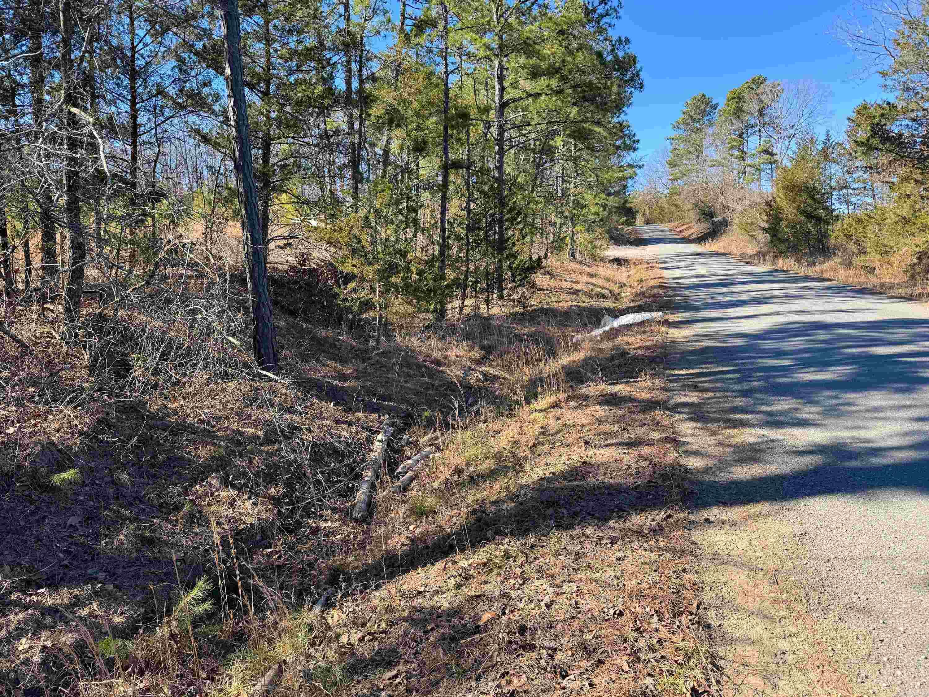 950 Tarter Hill  Quitman, AR