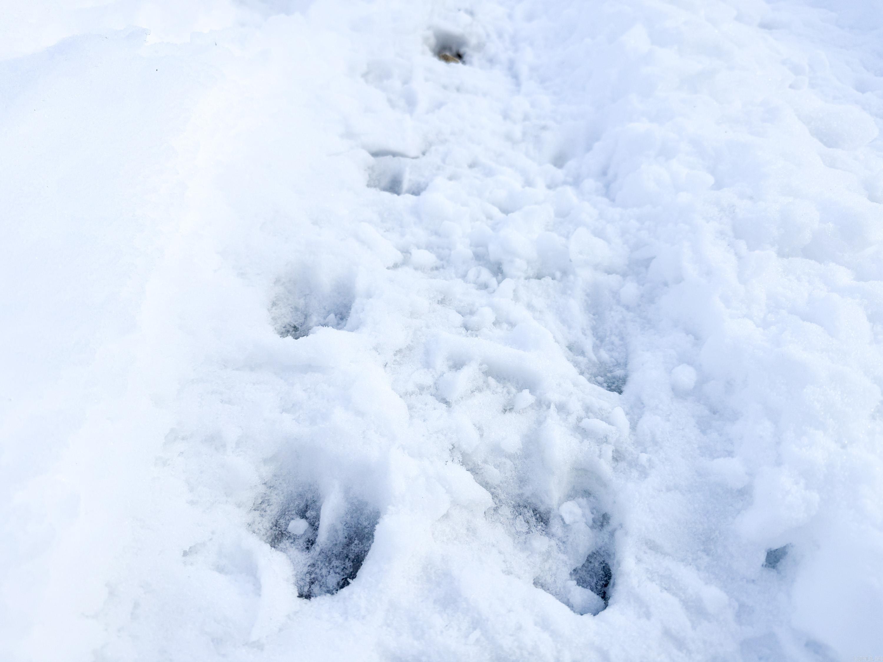 950 Tarter Hill  Quitman, AR