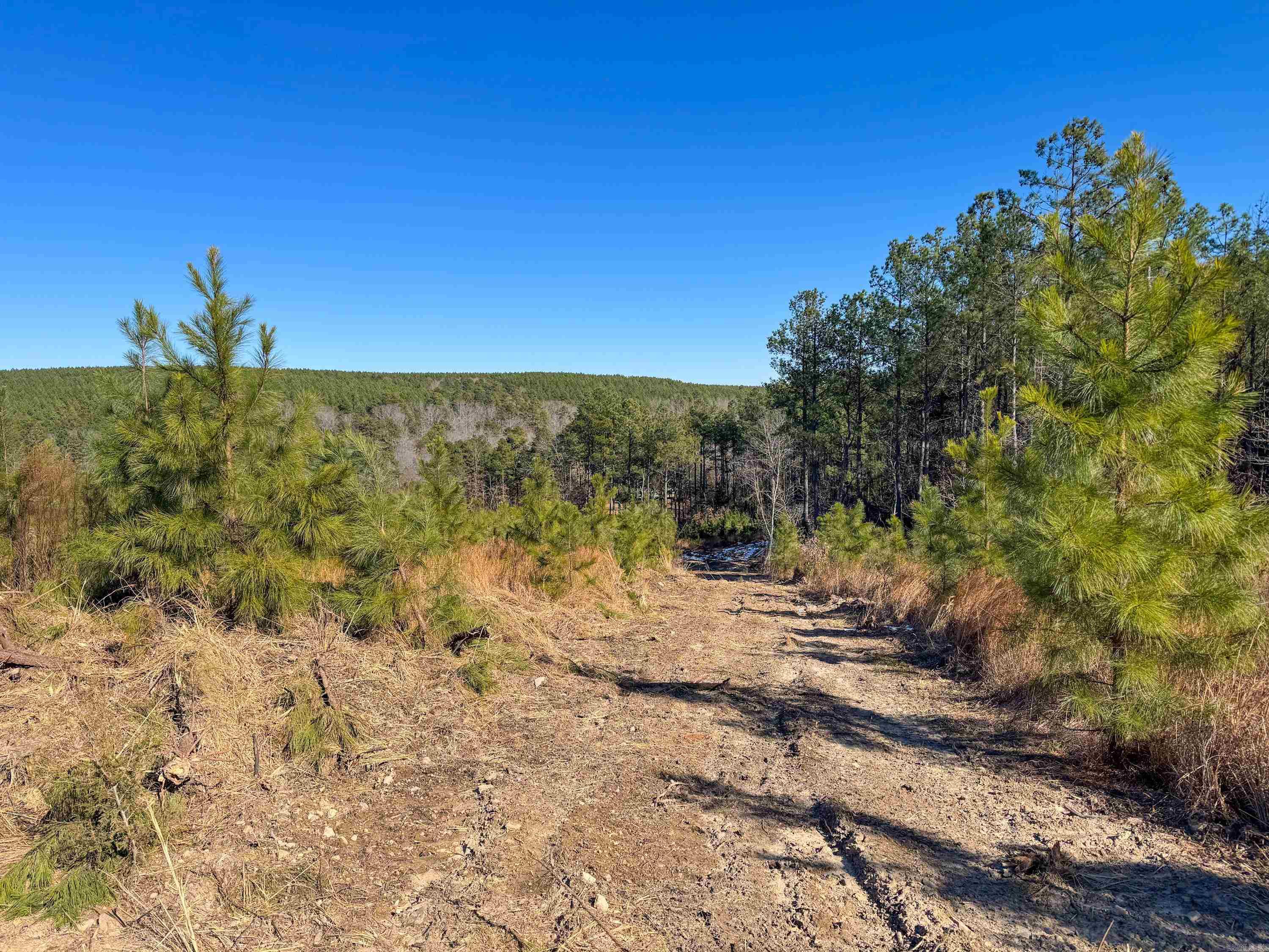 950 Tarter Hill  Quitman, AR