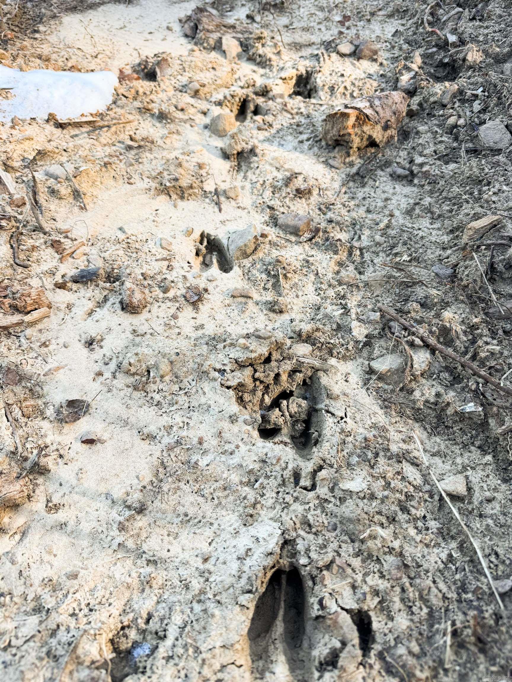 952 Tarter Hill  Quitman, AR