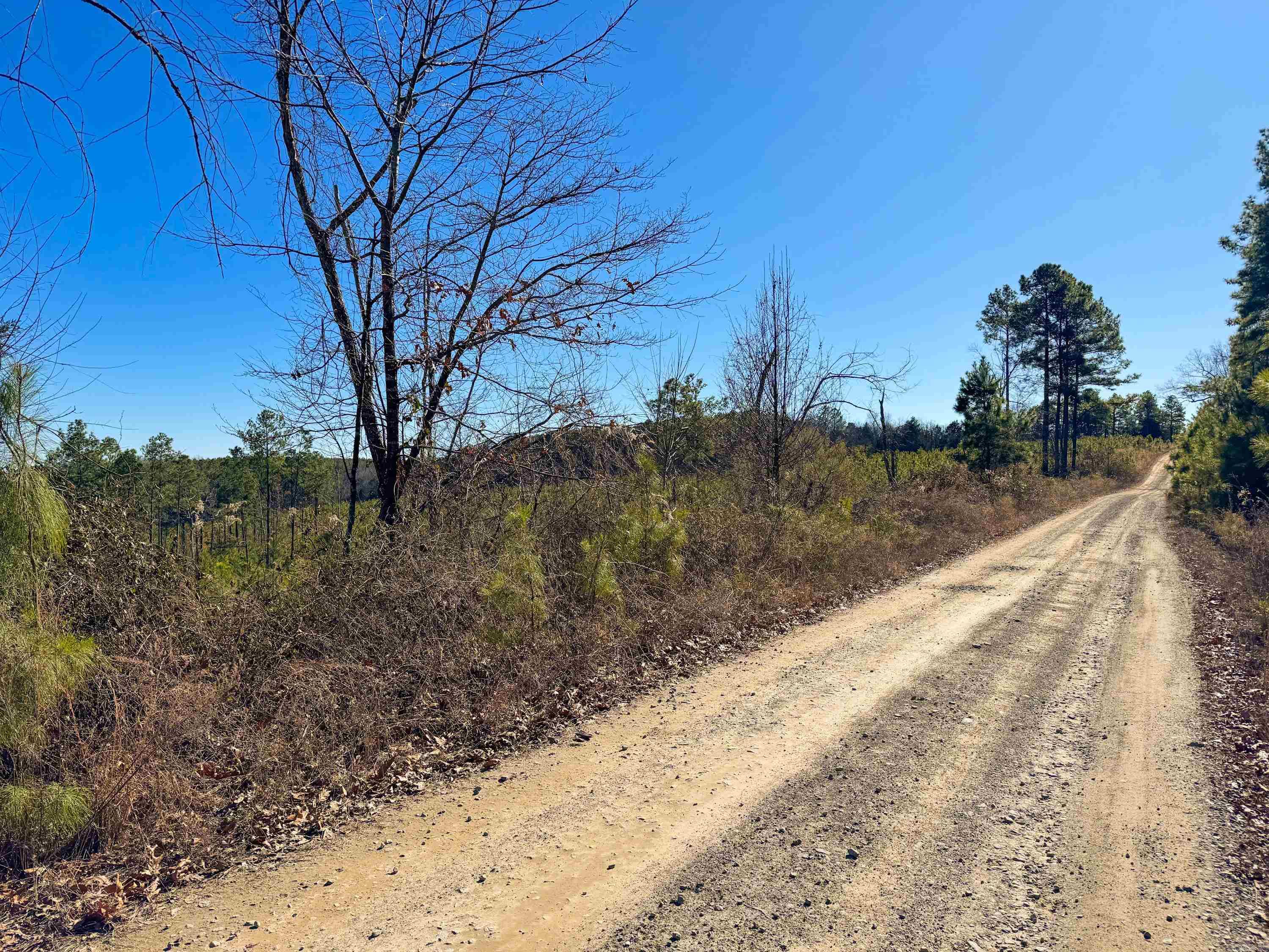 952 Tarter Hill  Quitman, AR