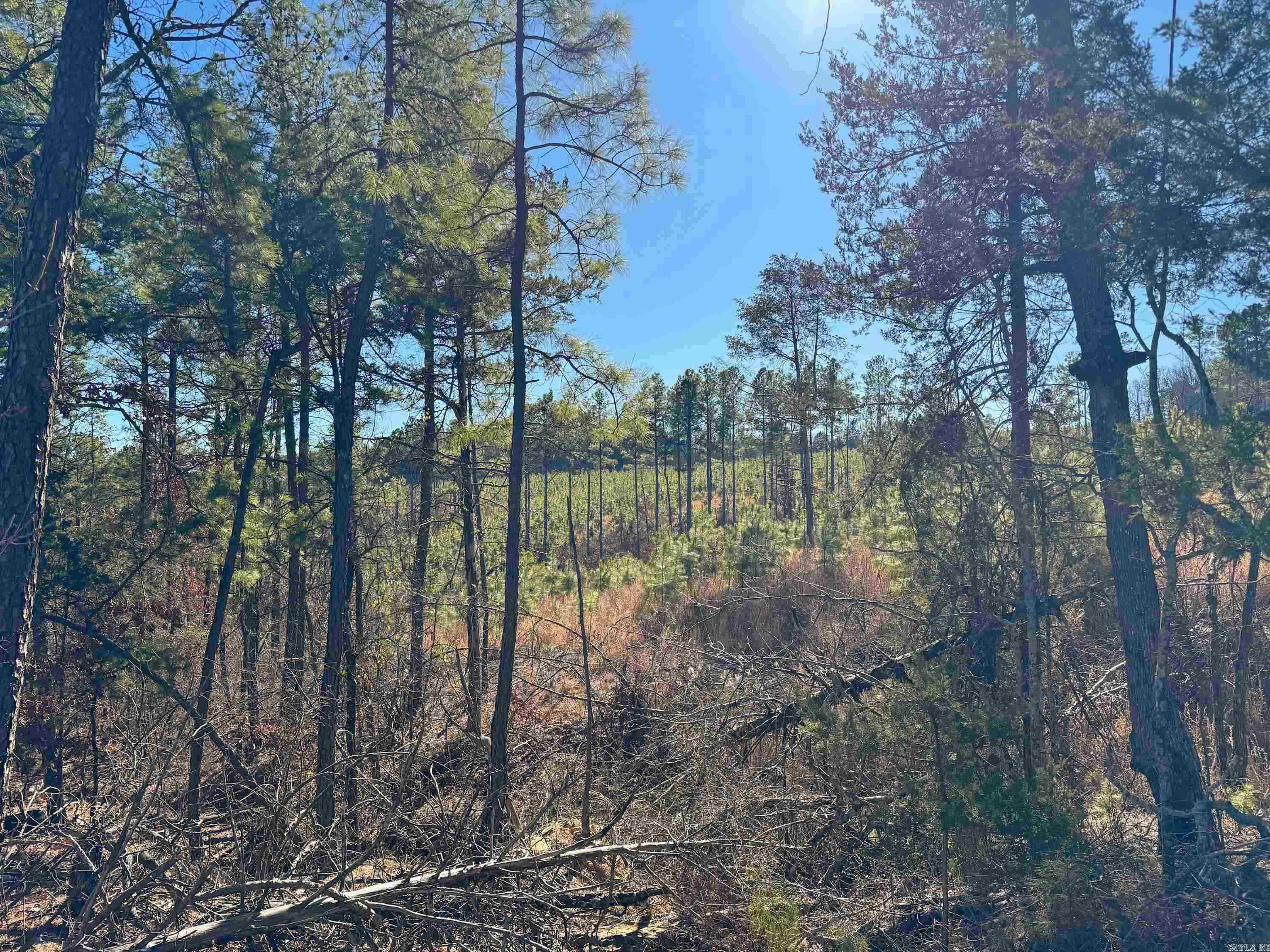 952 Tarter Hill  Quitman, AR