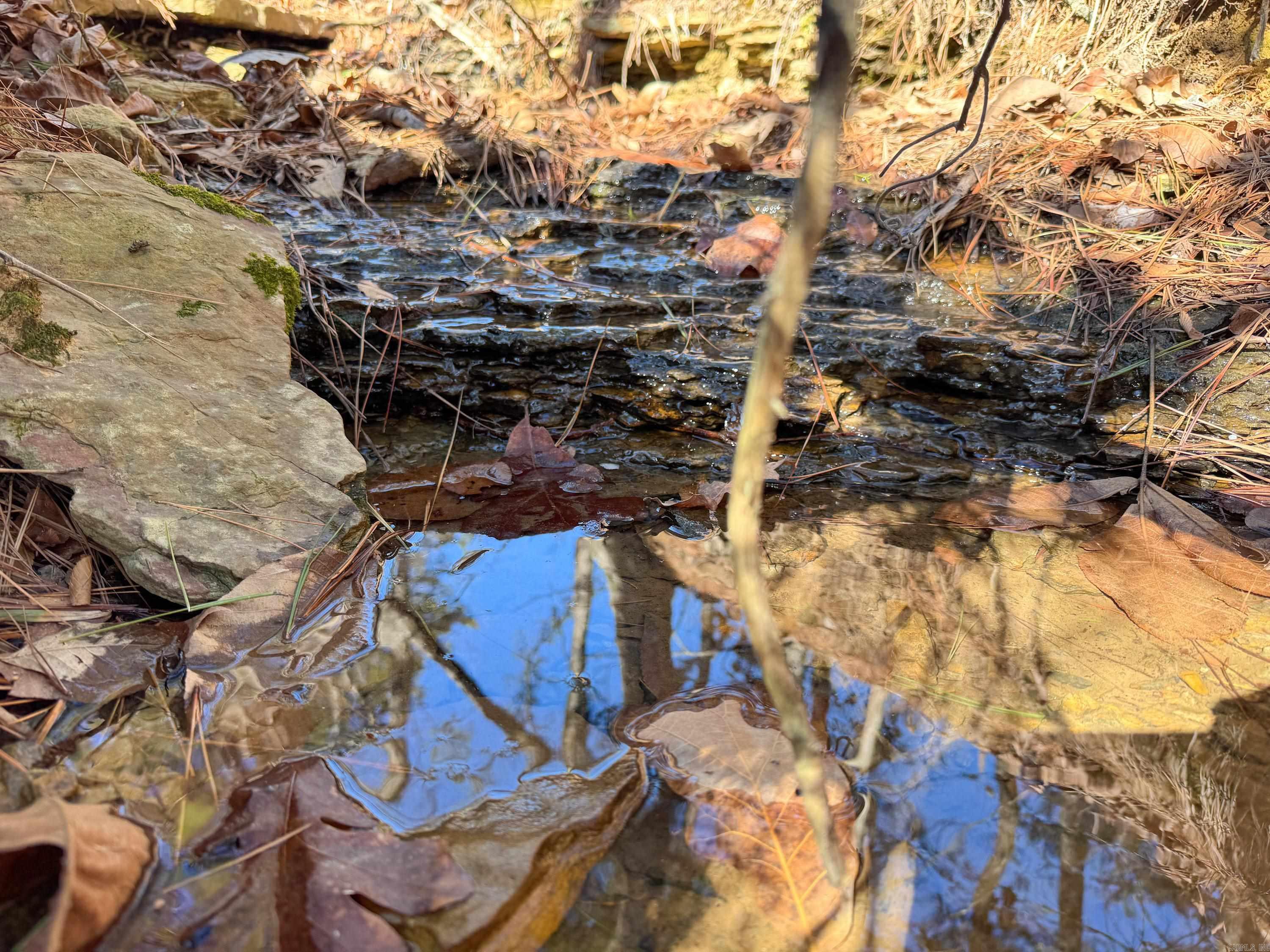 952 Tarter Hill  Quitman, AR