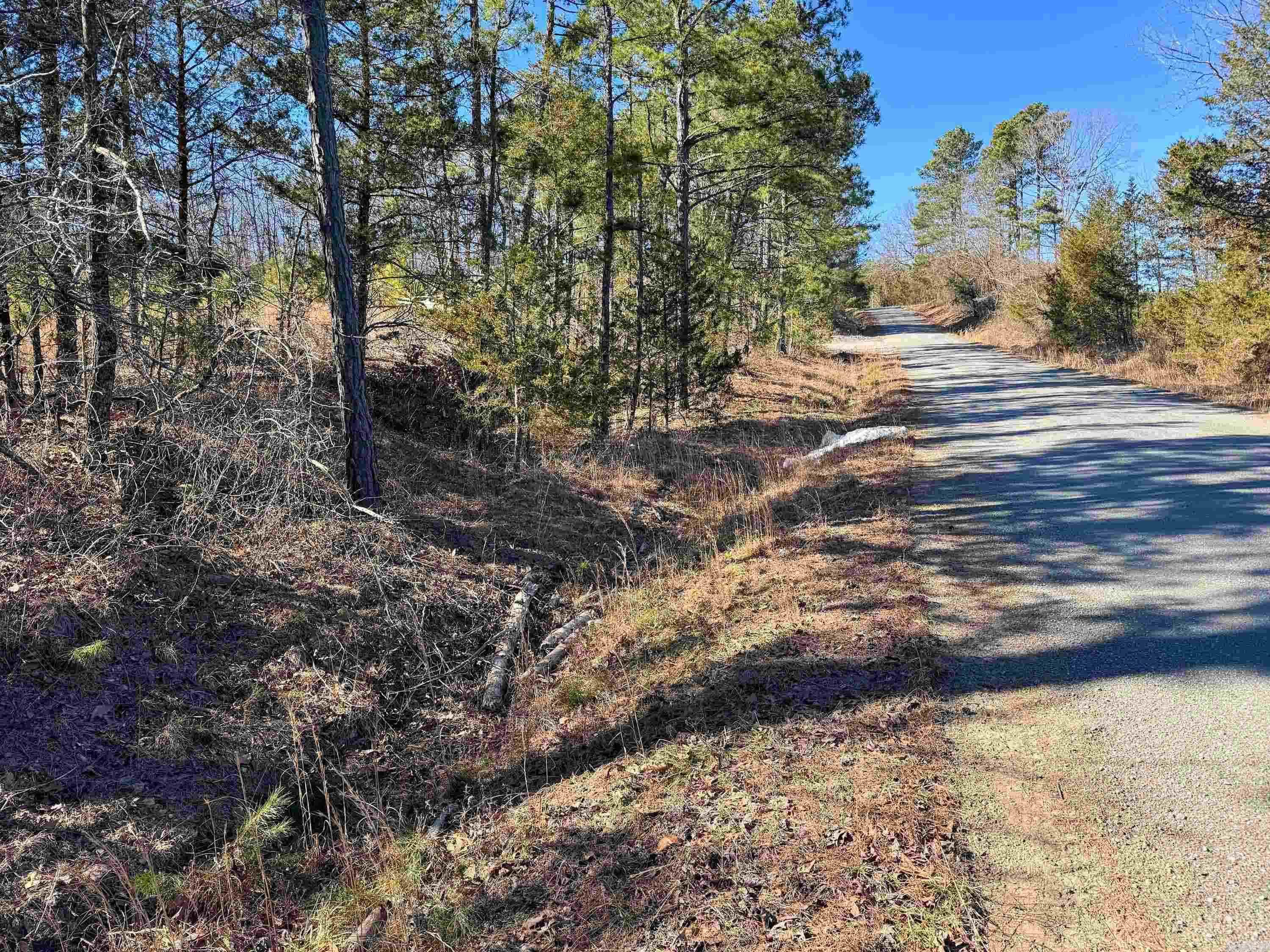 952 Tarter Hill  Quitman, AR
