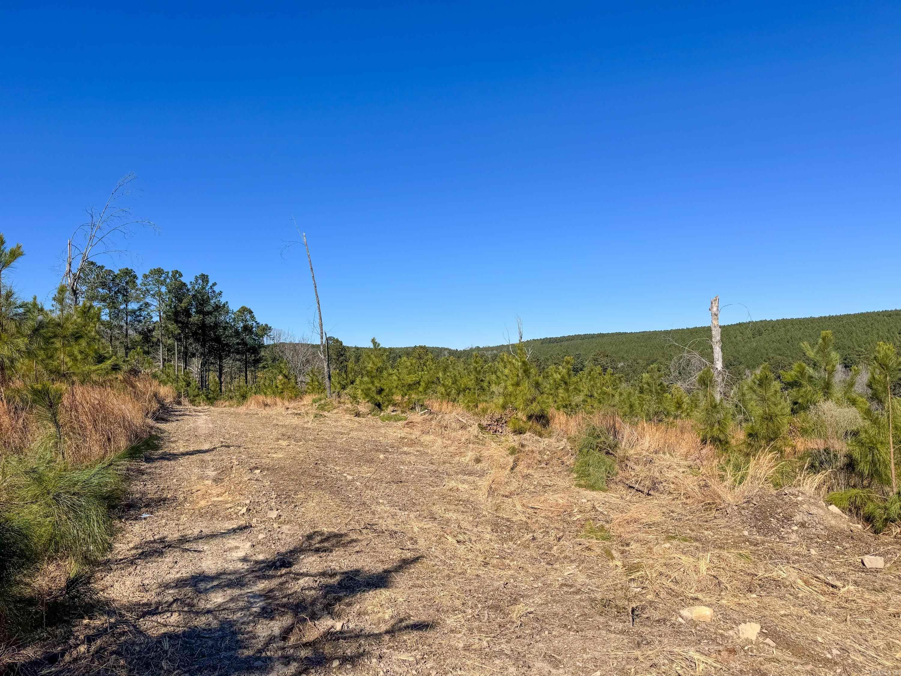 952 Tarter Hill  Quitman, AR